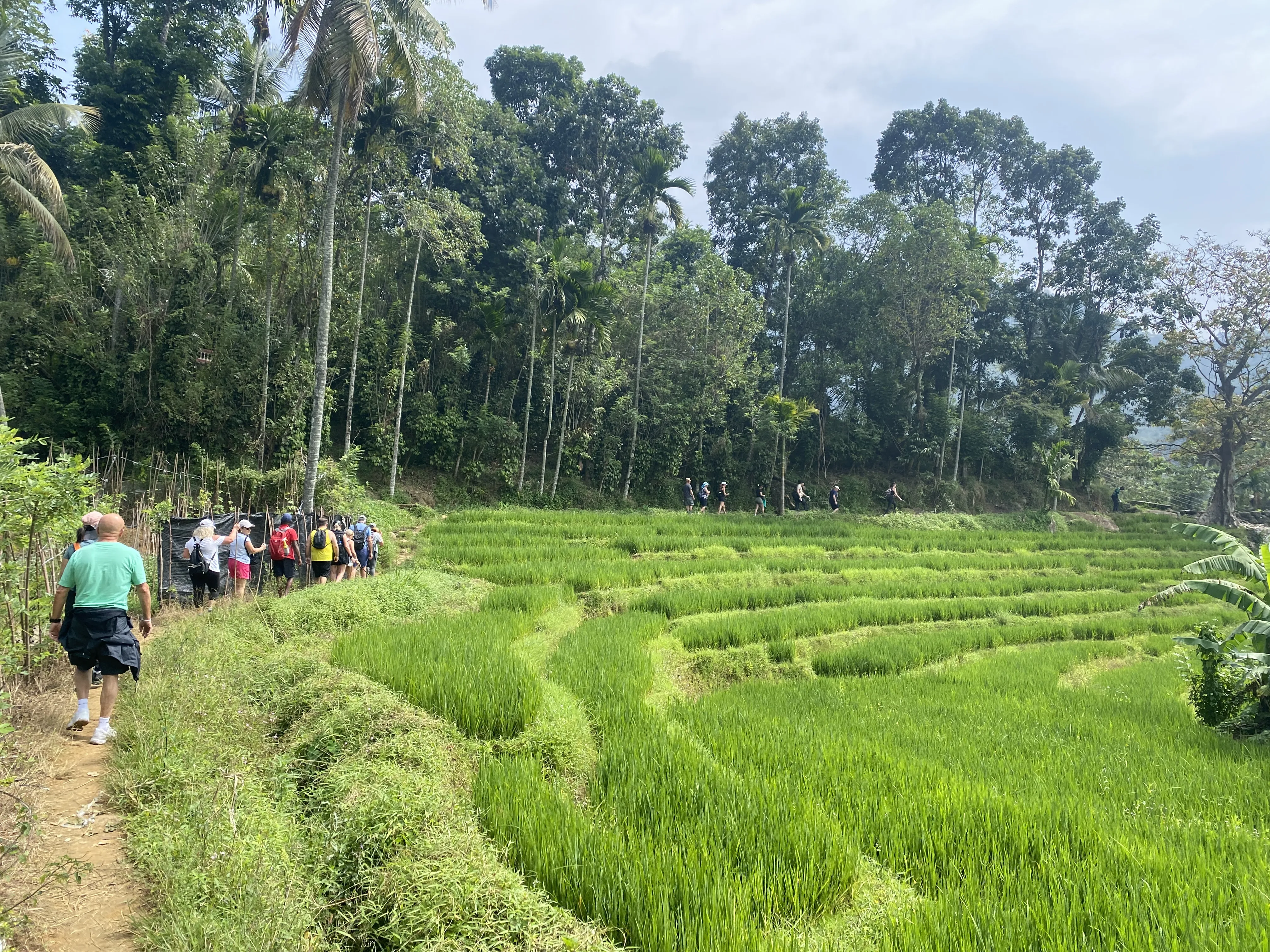 Cultural experiences and village life encounters on a guided Sri Lanka heritage tour with Dony Reisen