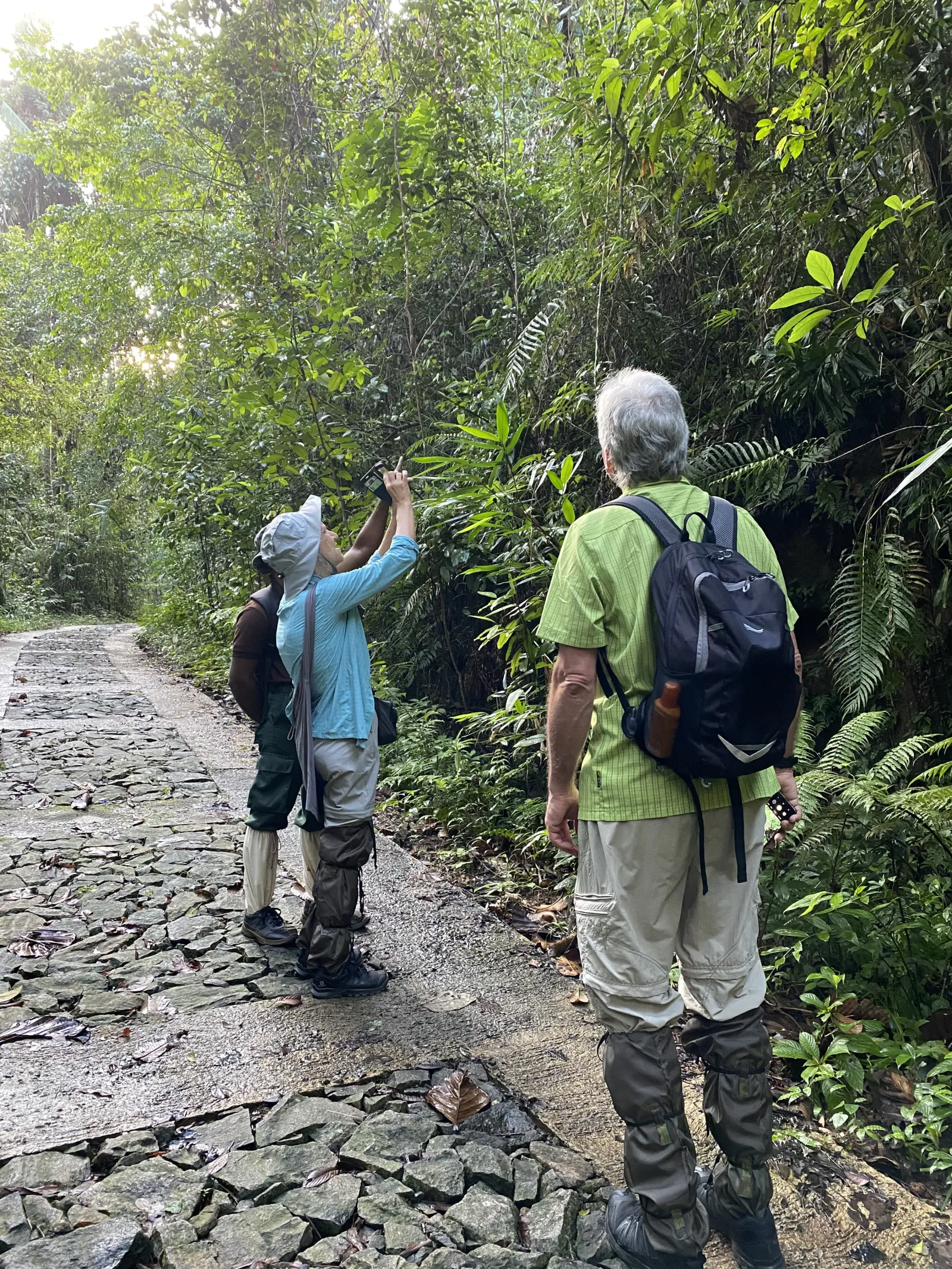 Sinharaja forest kudawa - Giant Nawada Tree Nature Trail Hiking