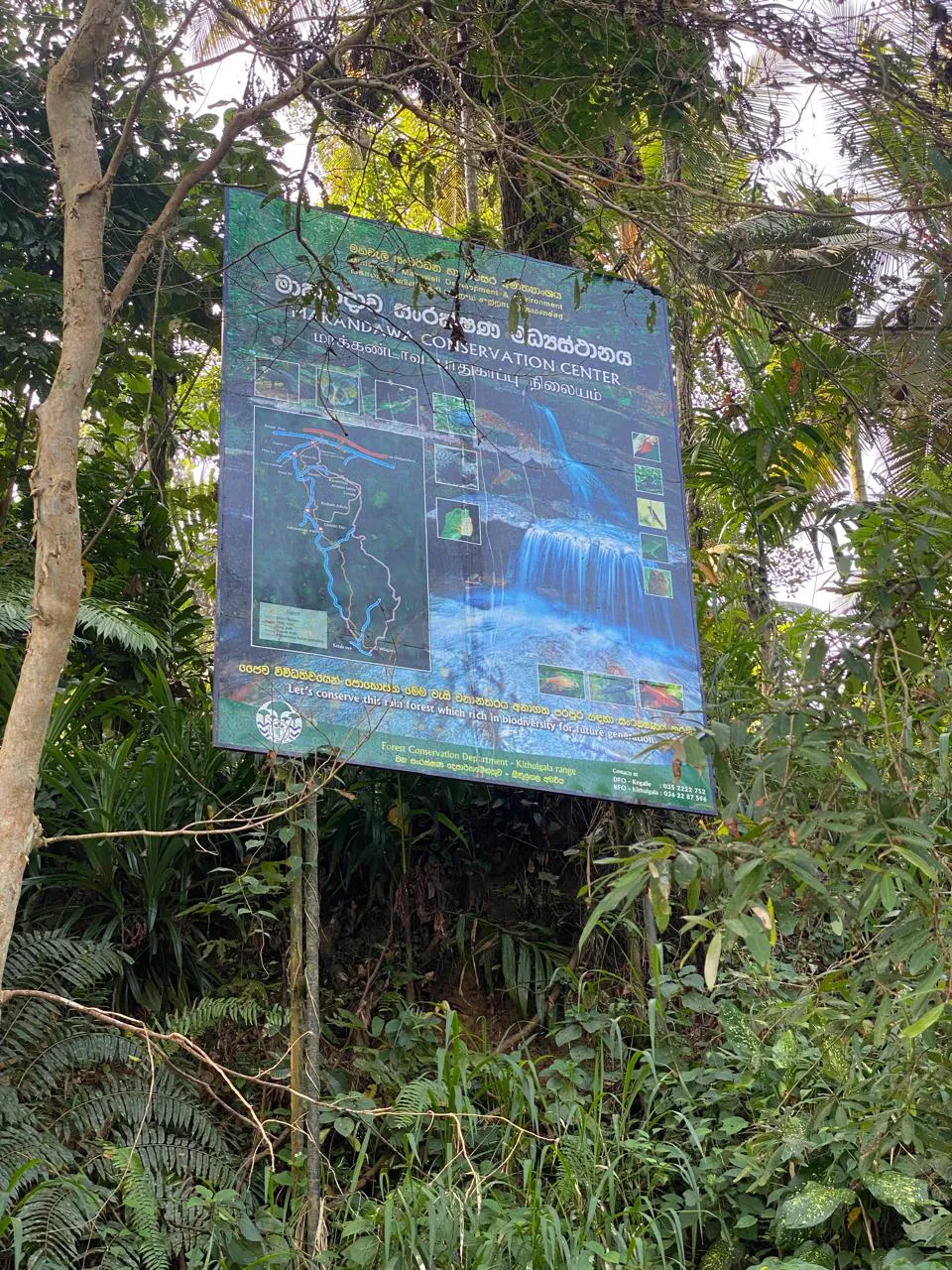 Makandawa Rain Forest Hiking