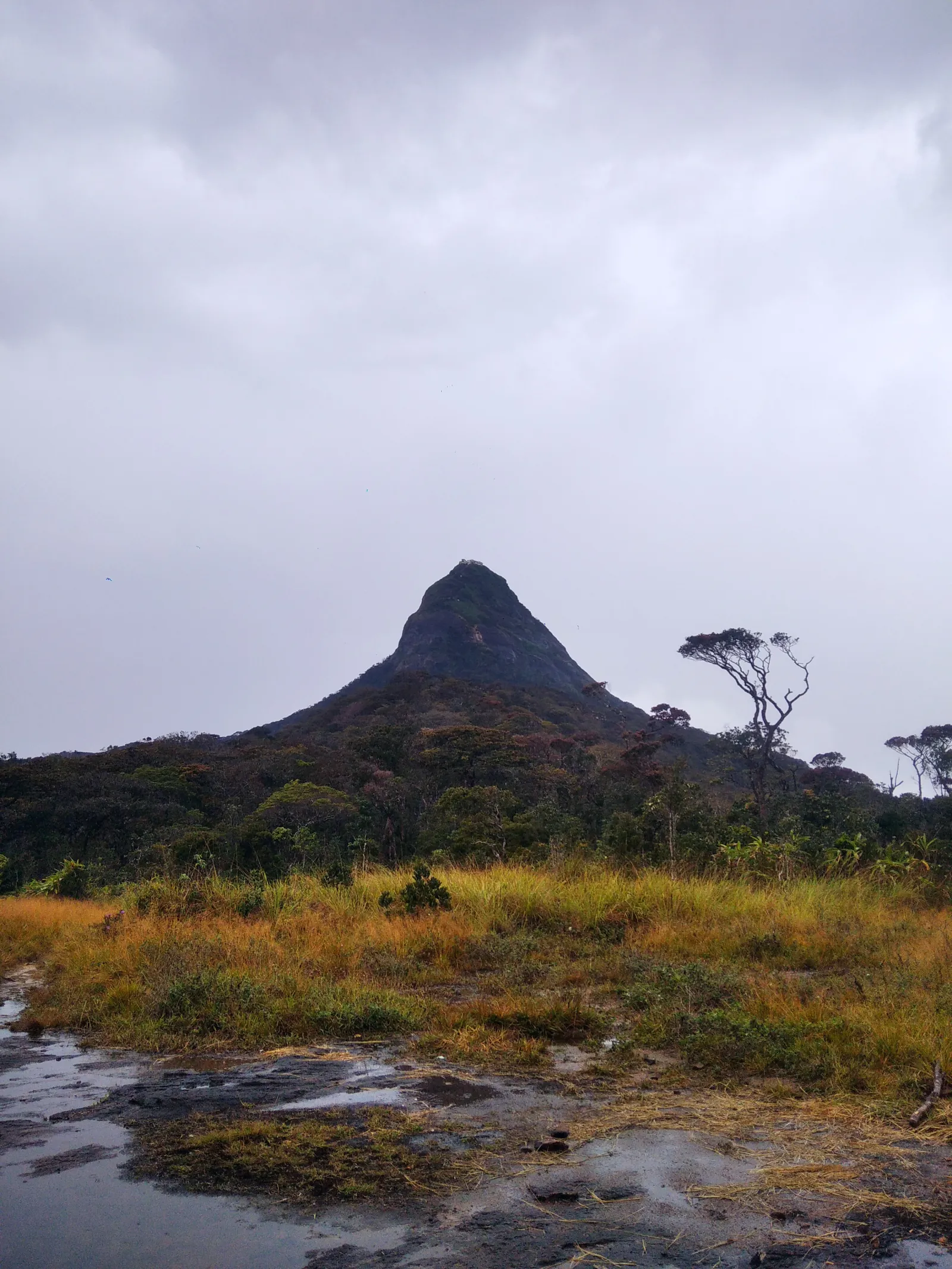 Adam's Peak Trekking Trails