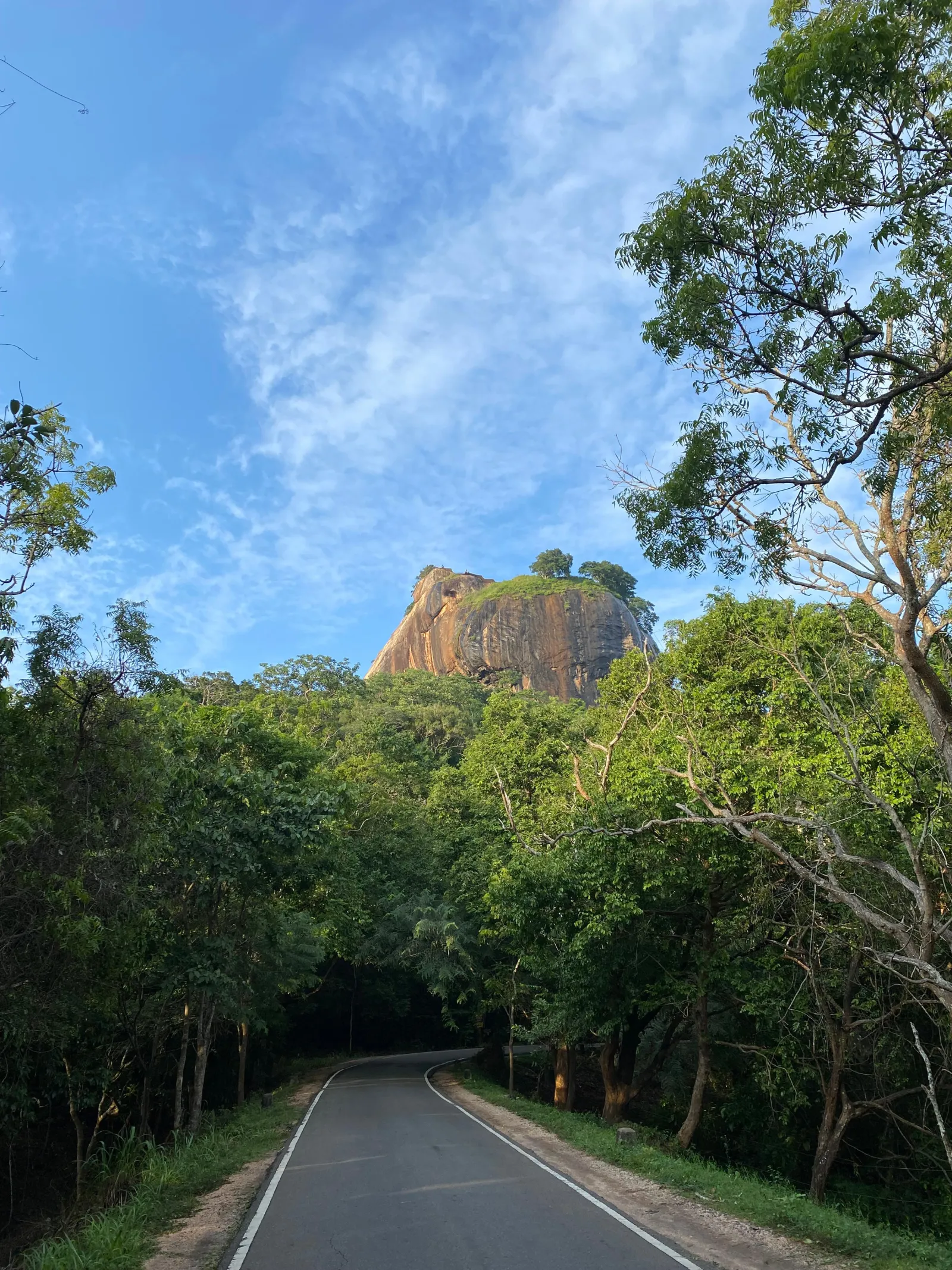 Birdwatching in Sigiriya Sanctuary