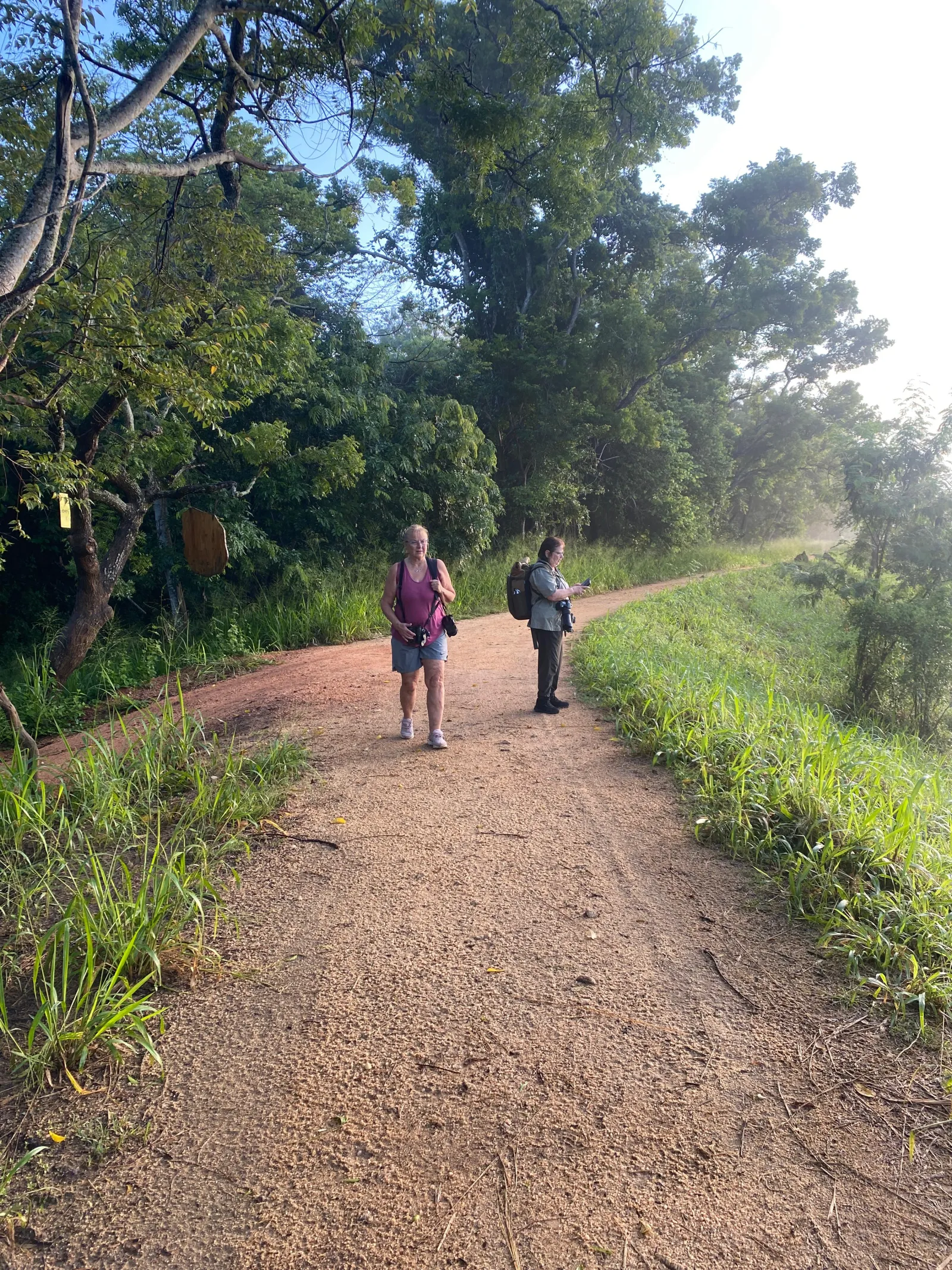 Birdwatching in Habarana Lake area
