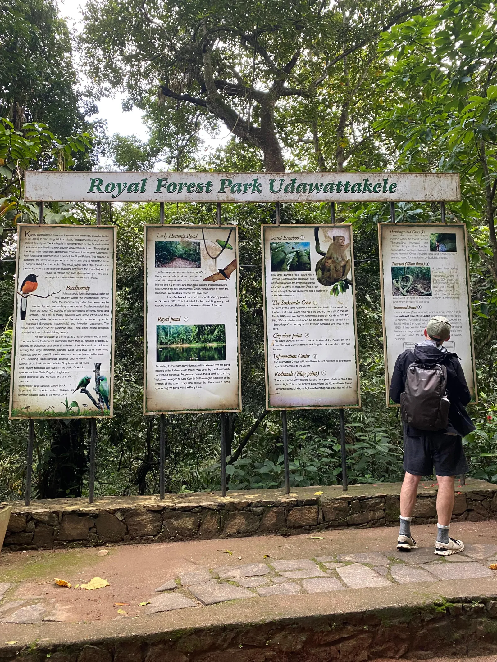 Birdwatching in Udawatta Forest