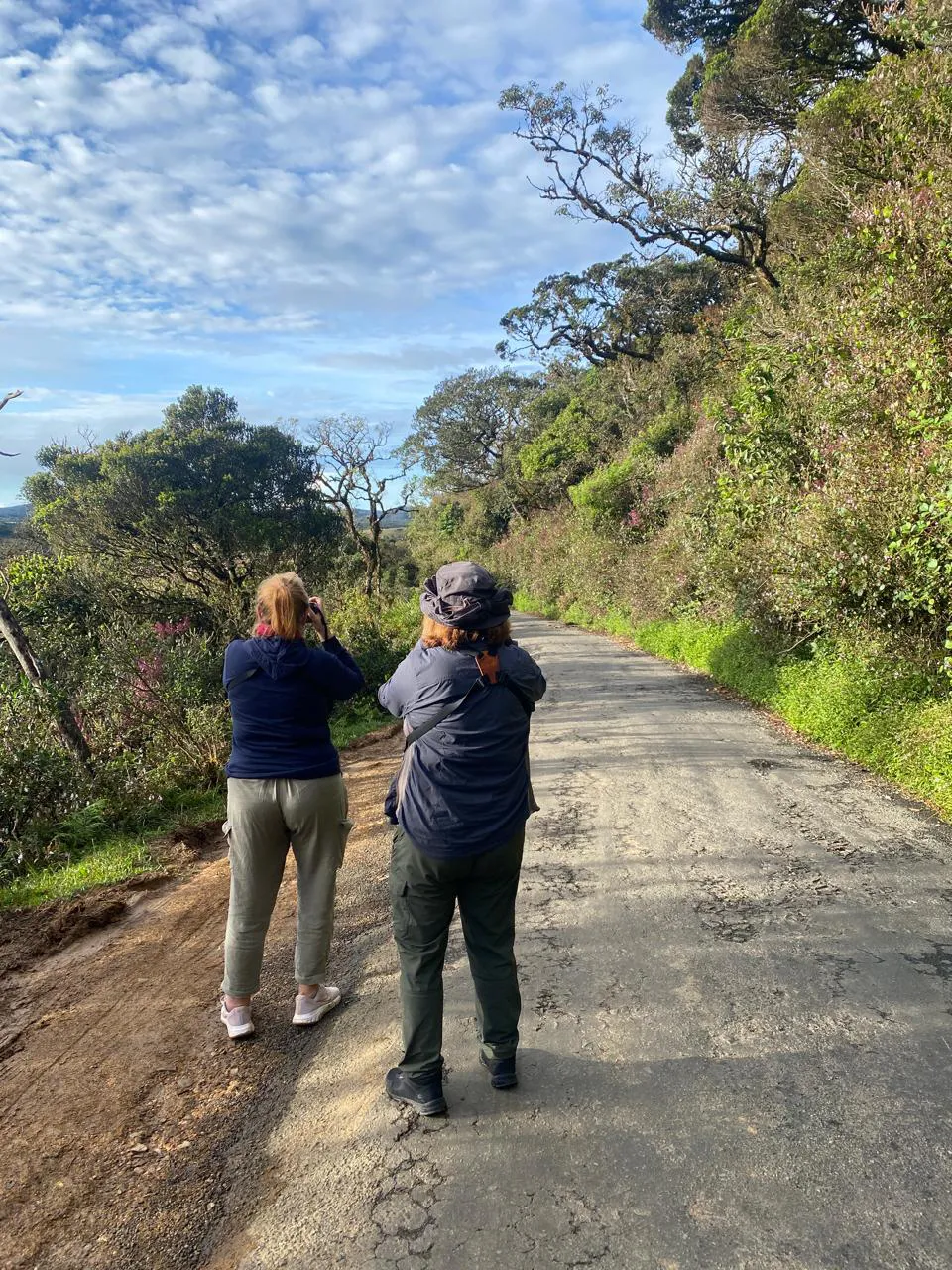 Birdwatching in Horton Plains National park 