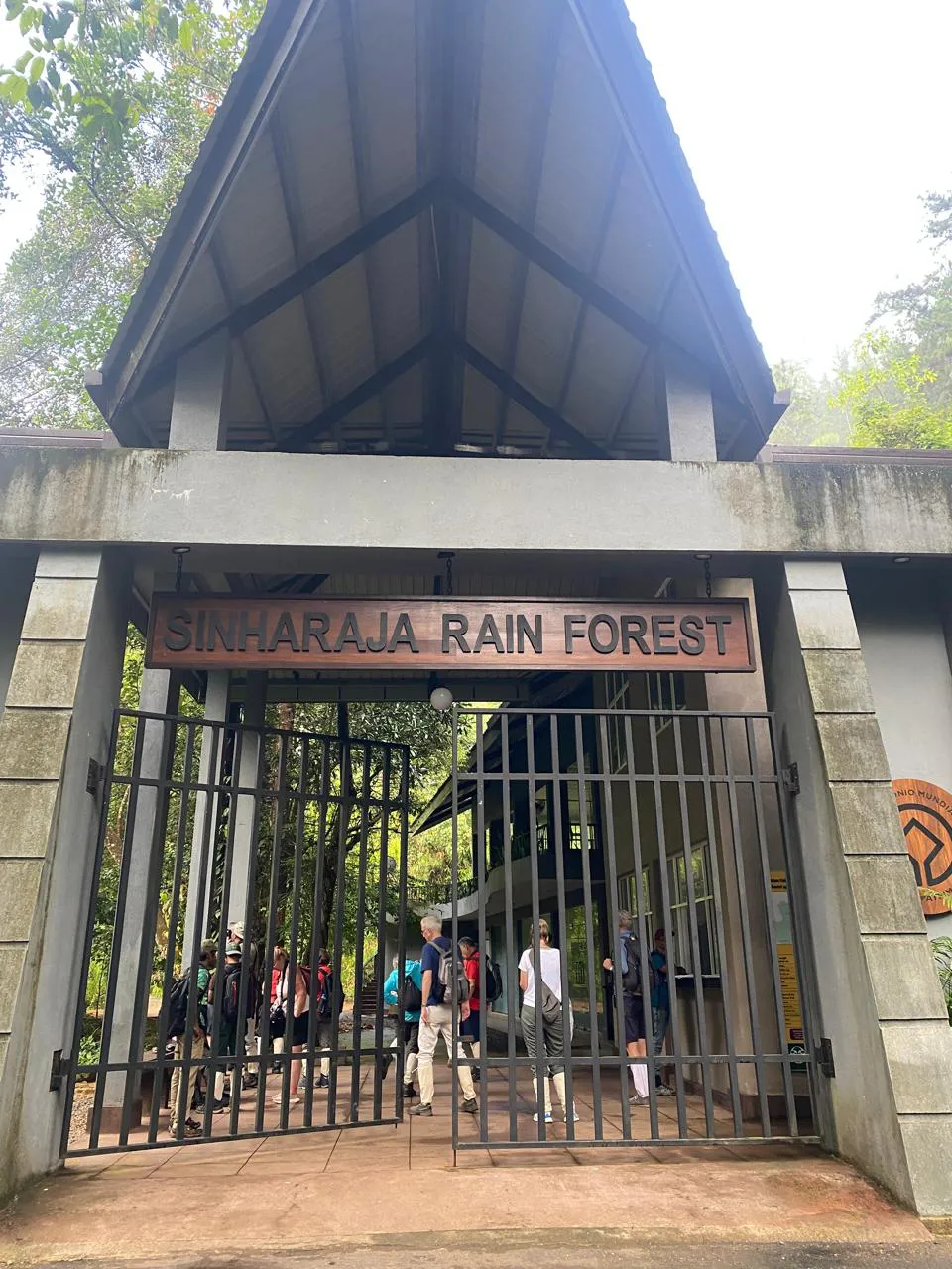 Birdwatching in Sinharaja Forest