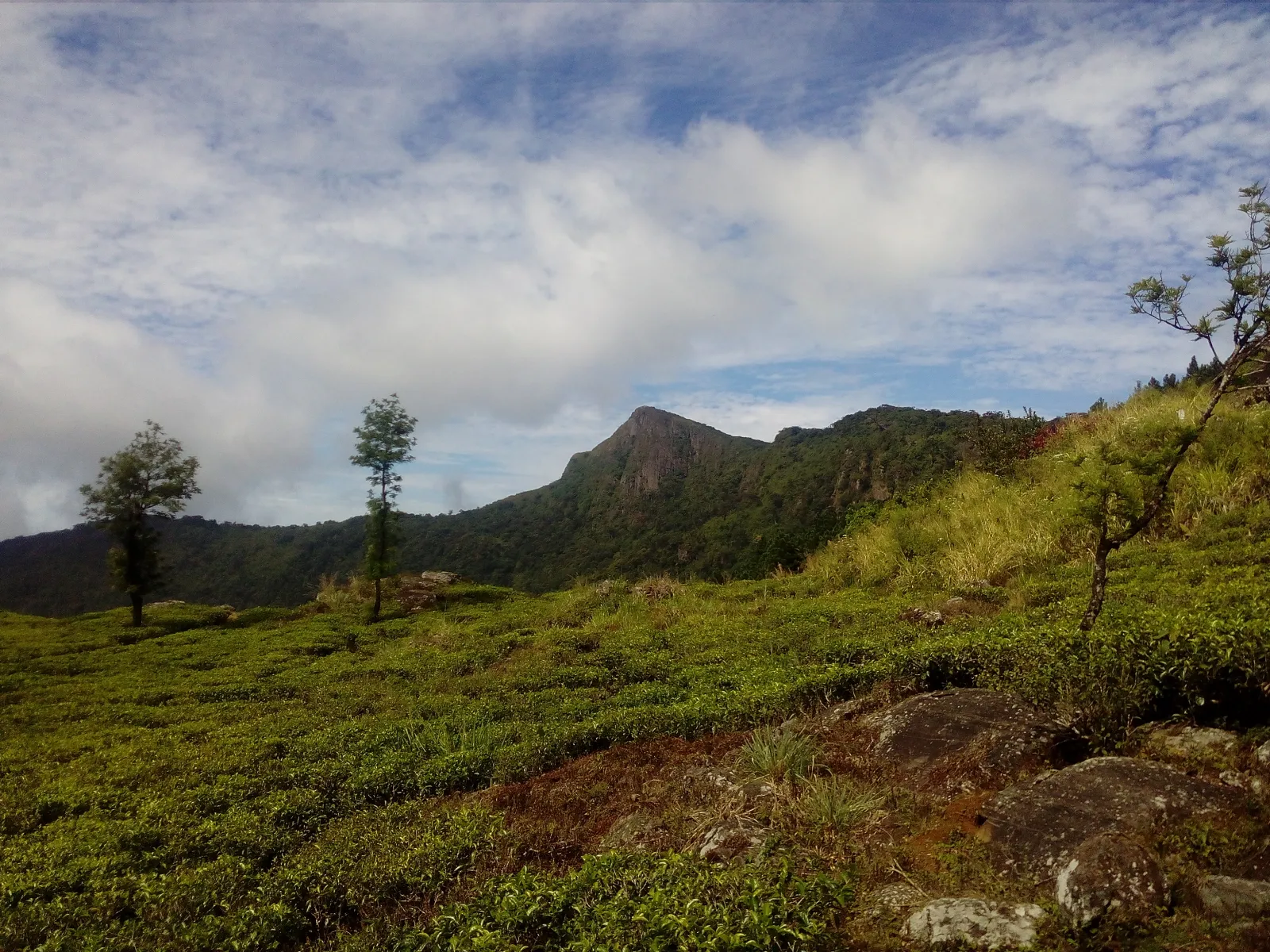 Hunnasgiriya Mountain Hiking