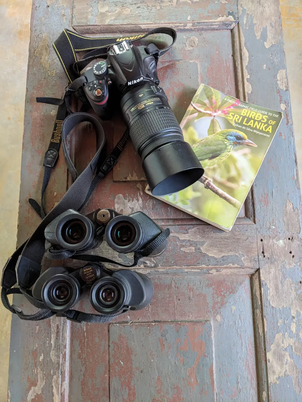 Birdwatching in Outboard of Sinharaja Forest