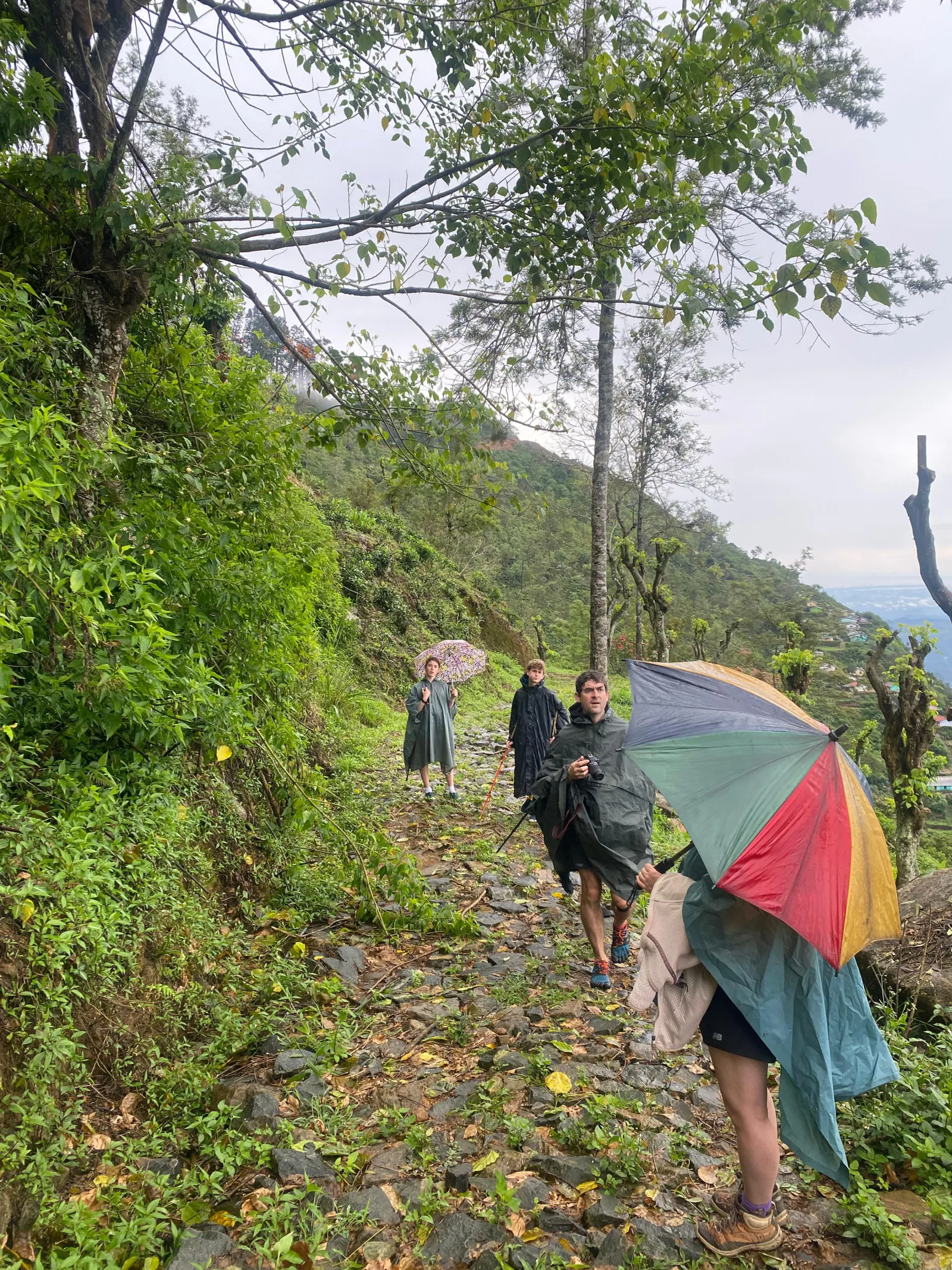 Birdwatching in Horton Plains National park 