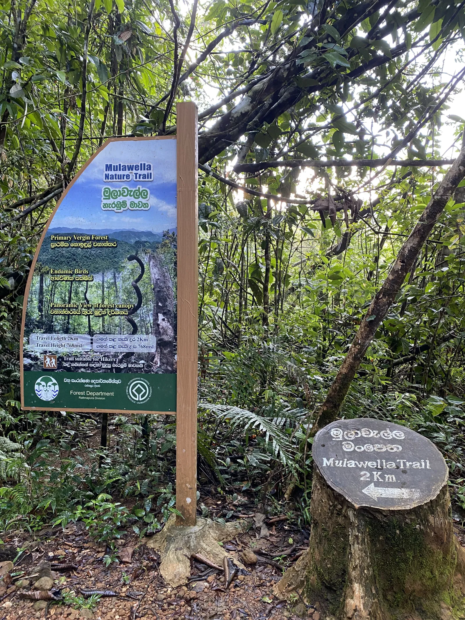Mulawella Mountain Nature Trail