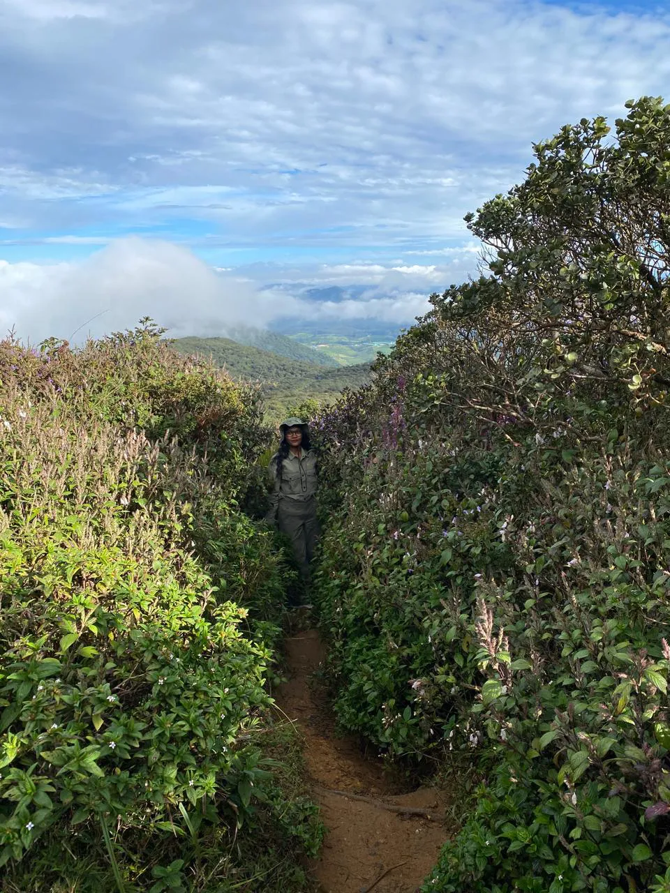 Thotupola Mountain Trekking in Horton Plains
