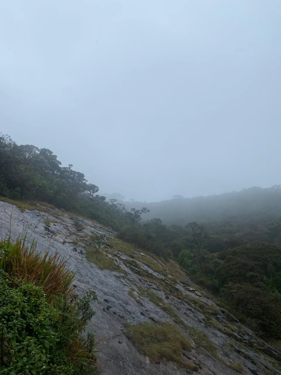 Kirigalpoththa Mountain Trekking in Horton Plains