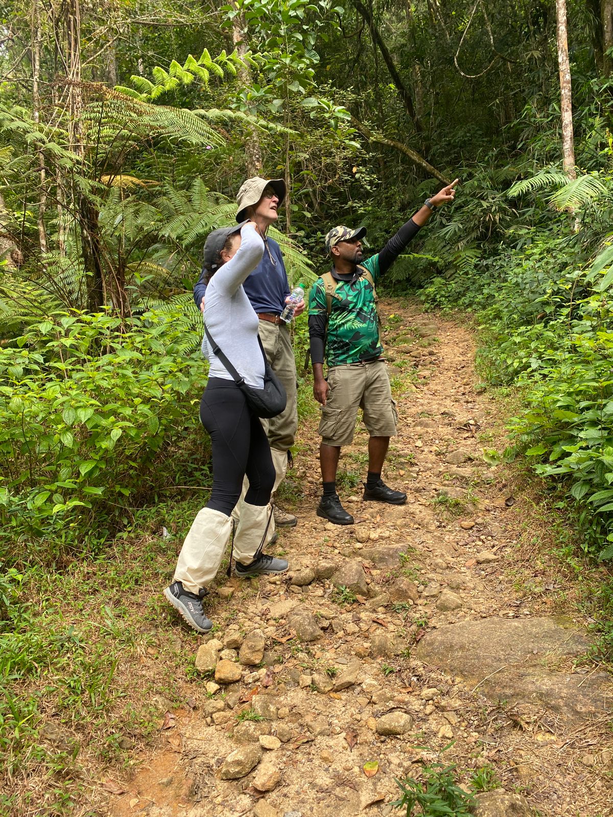 Guided birdwatching Tours - Travel category Sri Lanka