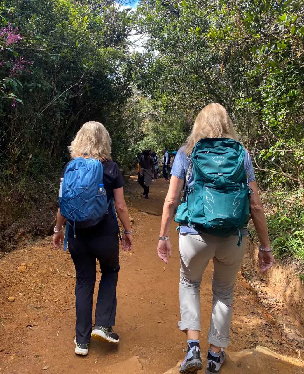 Great loop Trail of the Horton Plains National park 1