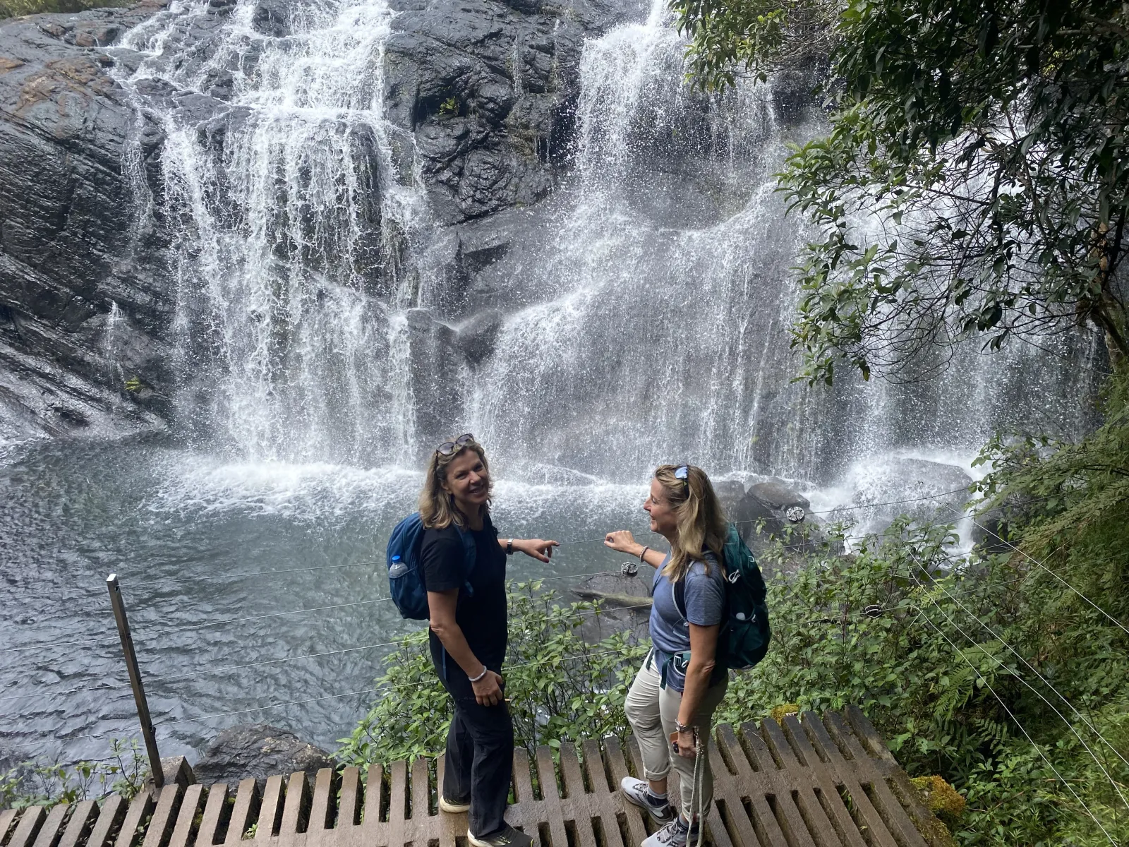 Great loop Trail of the Horton Plains National park 3