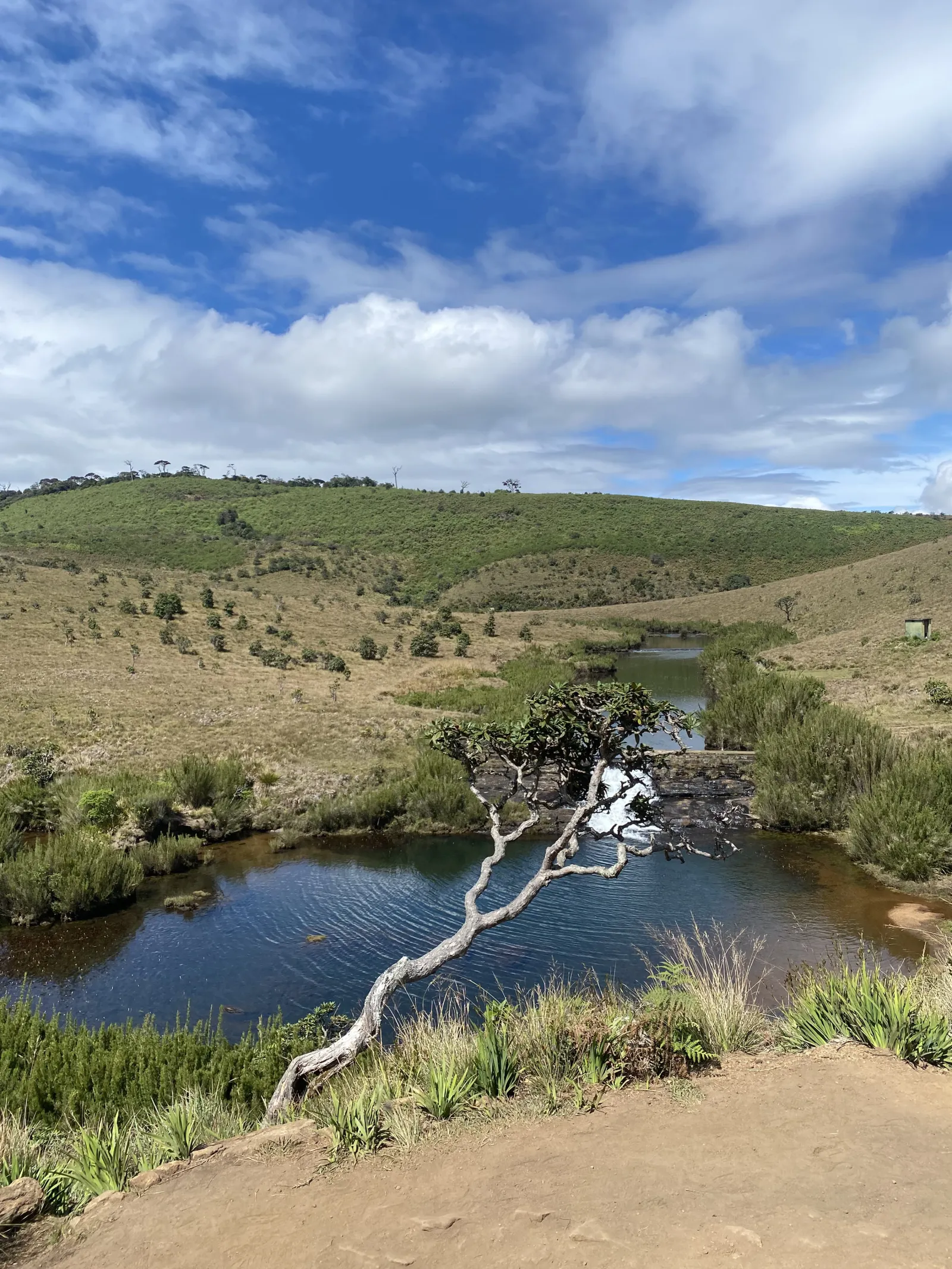 Great loop Trail of the Horton Plains National park 4