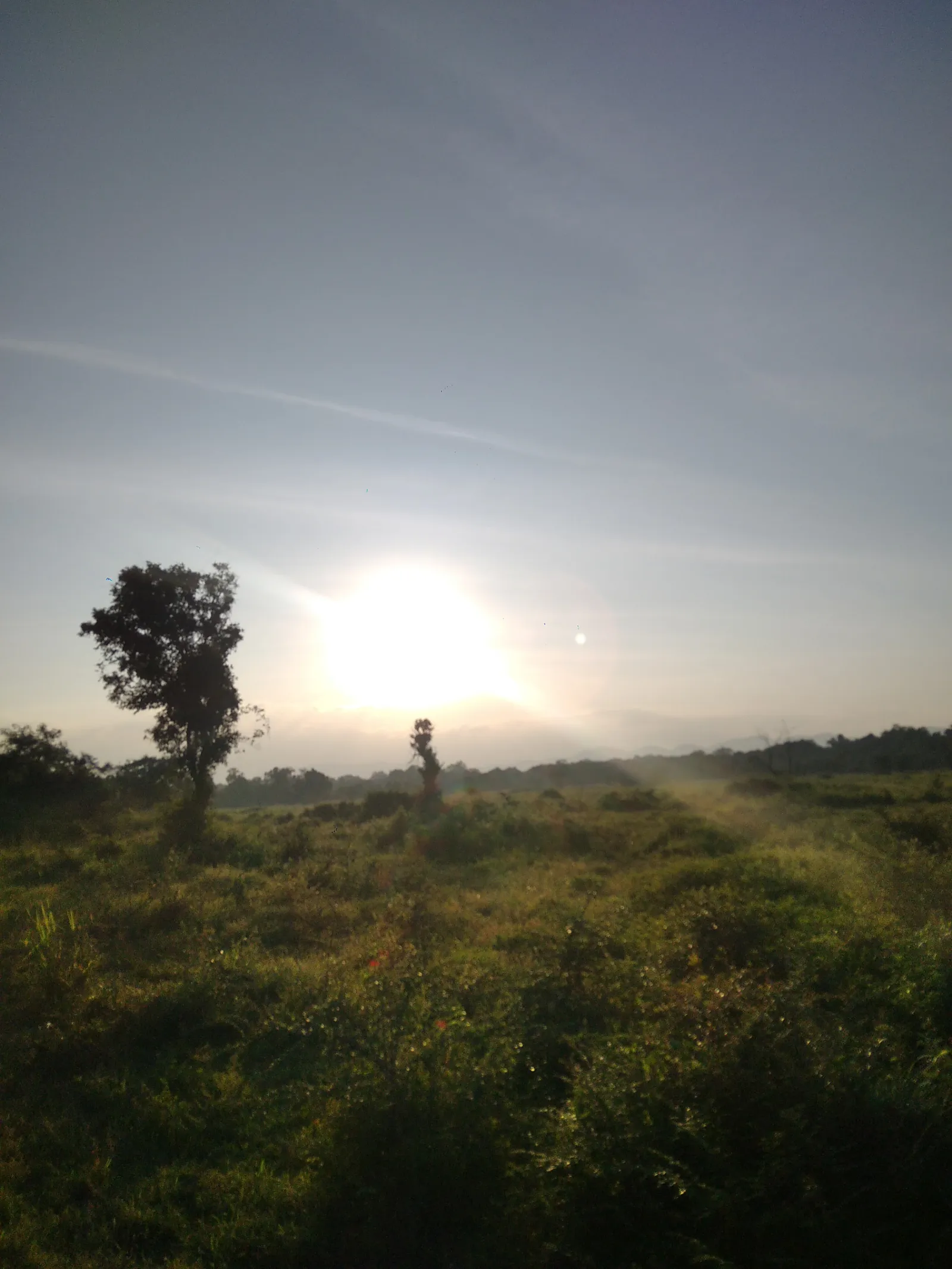 Guided Wasgamuwa National Park Full day/Half day Safari 2