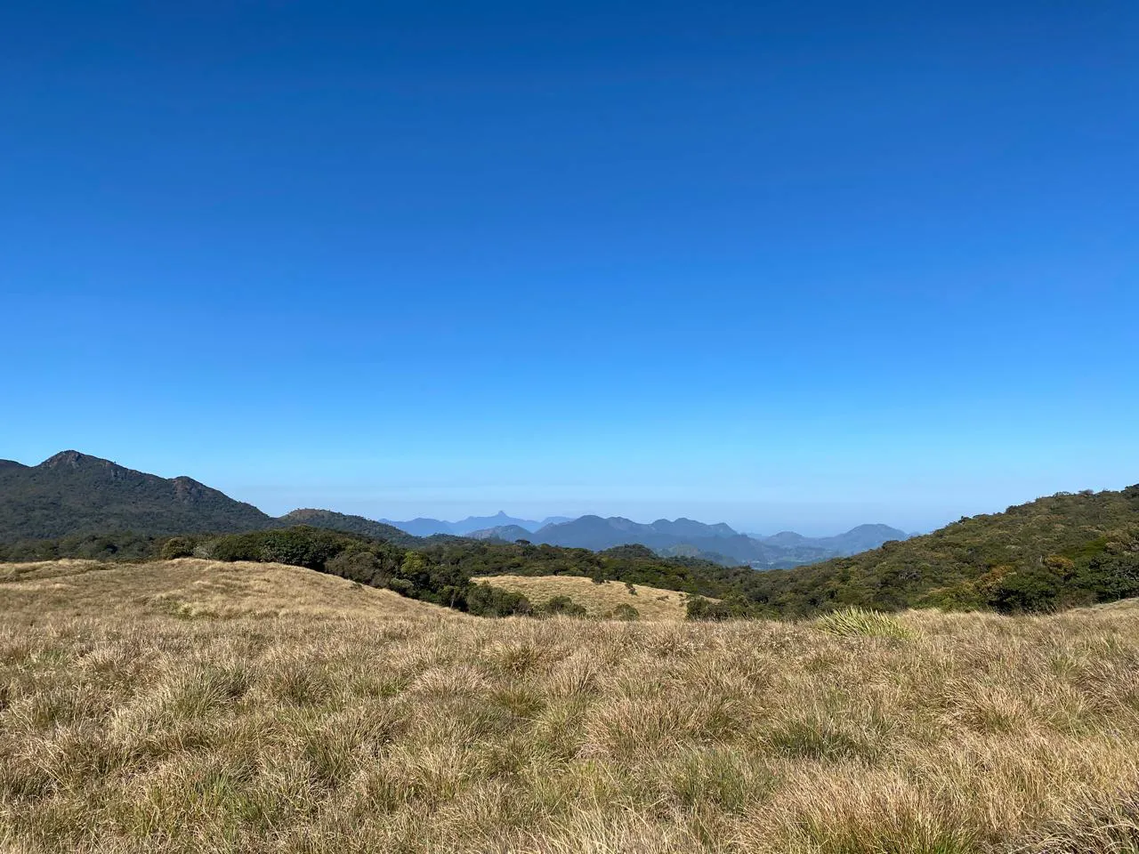 Thotupola Mountain Trekking in Horton Plains  2