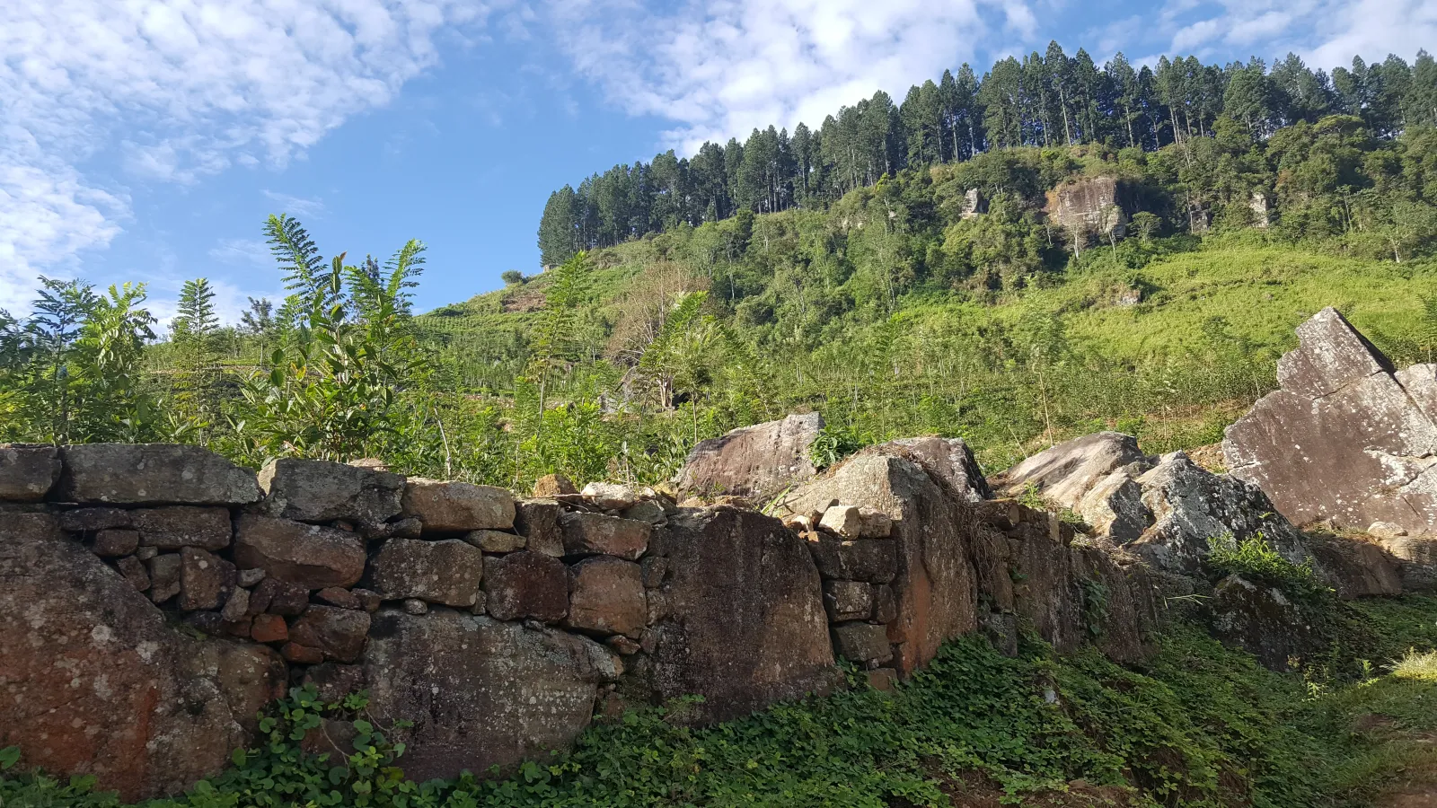 Hunnasgiriya Mountain Hiking 1