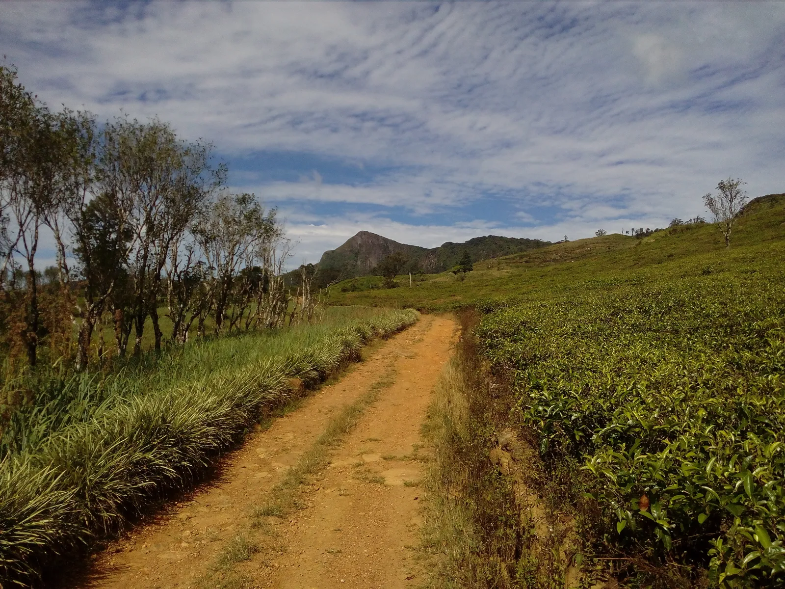 Hunnasgiriya Mountain Hiking 2