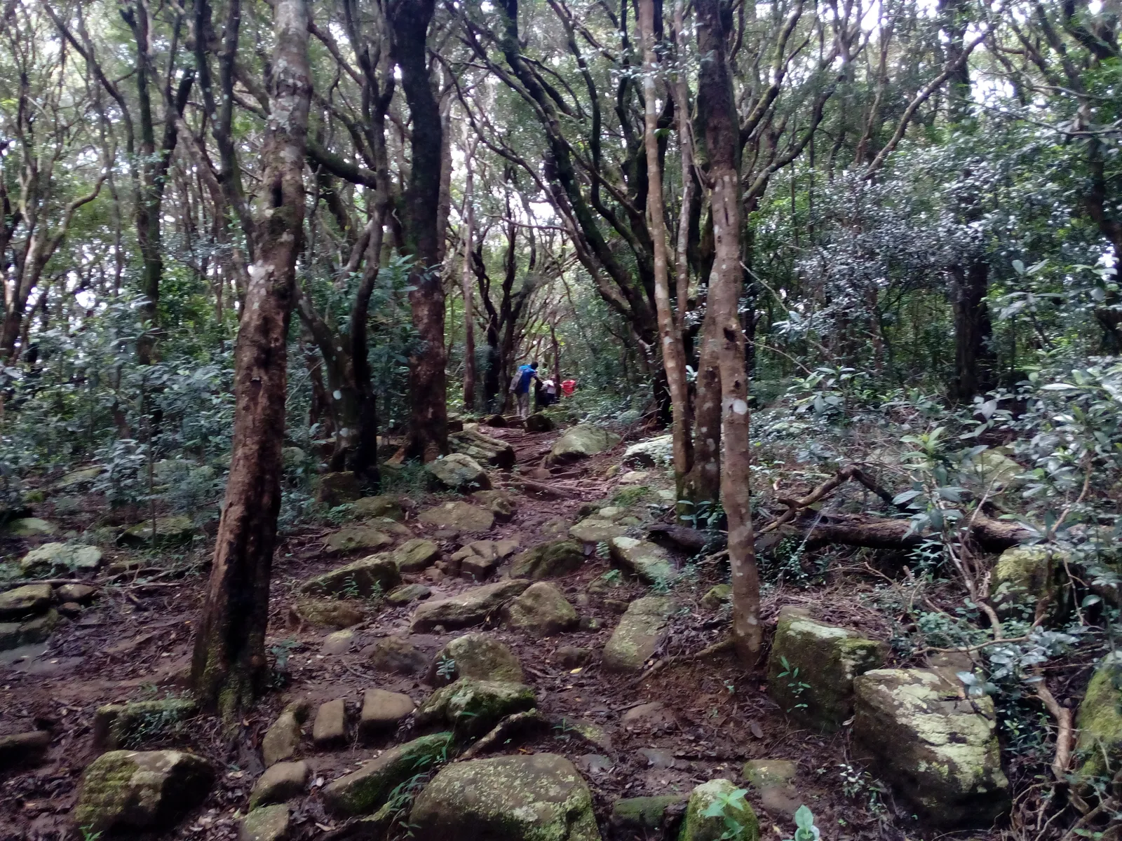 Manigala Hiking 2