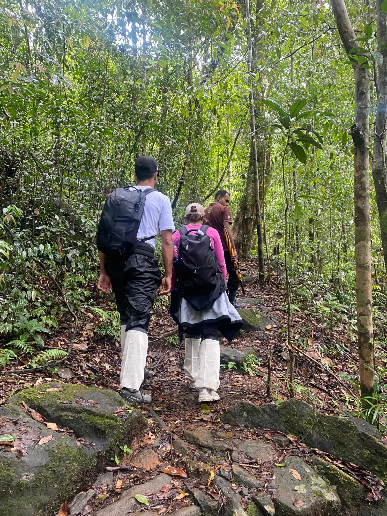 Mulawella Mountain Nature Trail 2