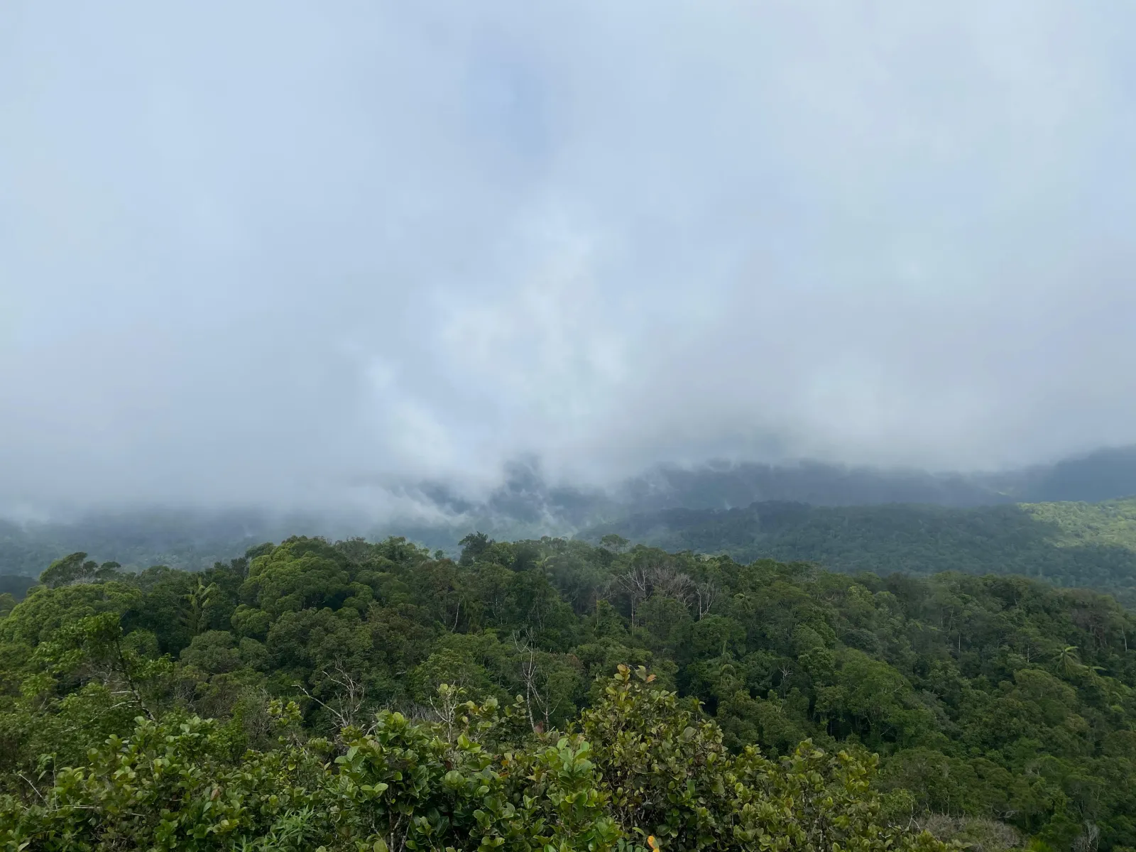 Mulawella Mountain Nature Trail 3