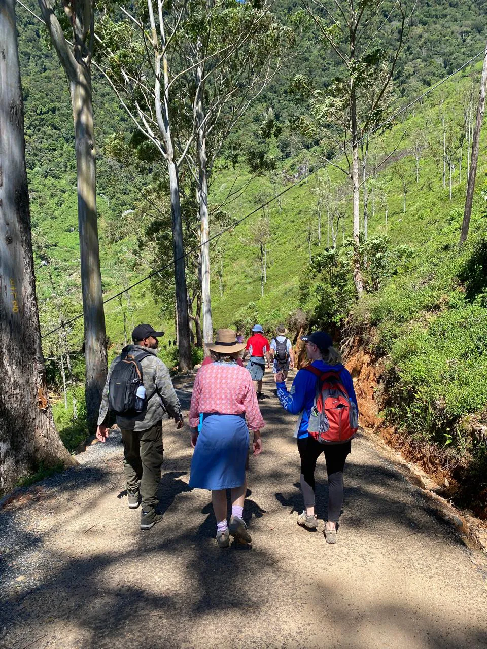 Devil's Staircase Trekking 1