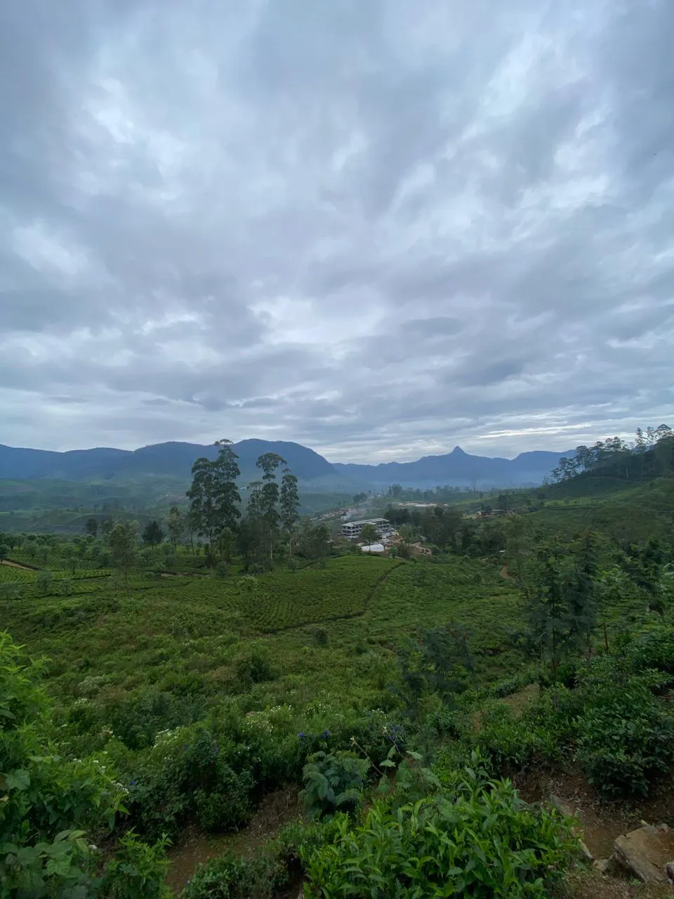 The Pekoe Trail Guided Tours. 3