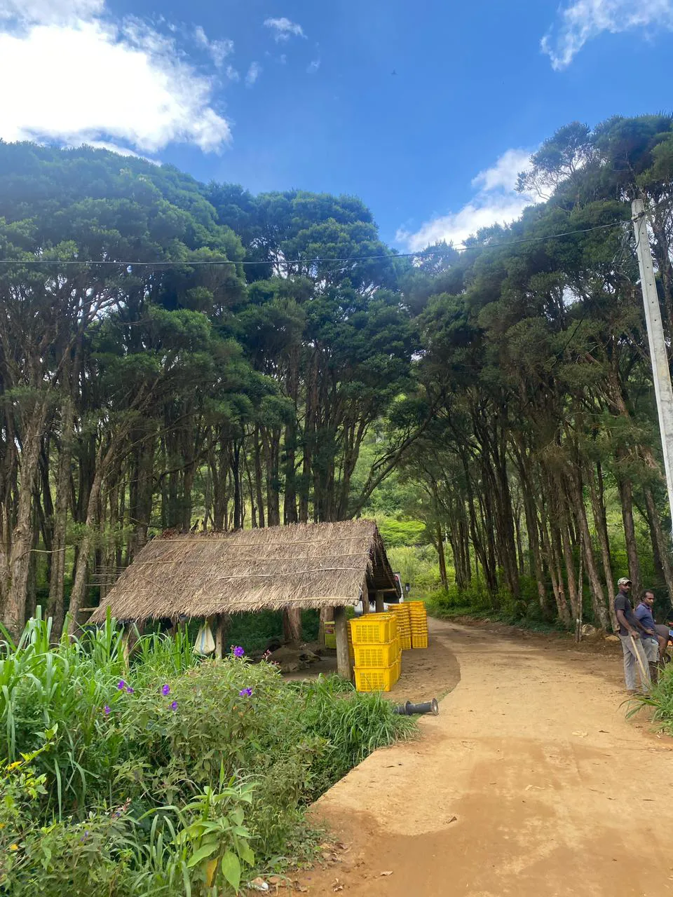 The Pekoe Trail Guided Tours. 6