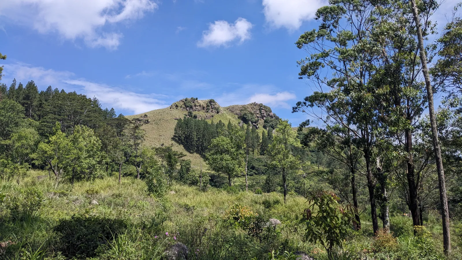 Hanthana Mountain Hike 2