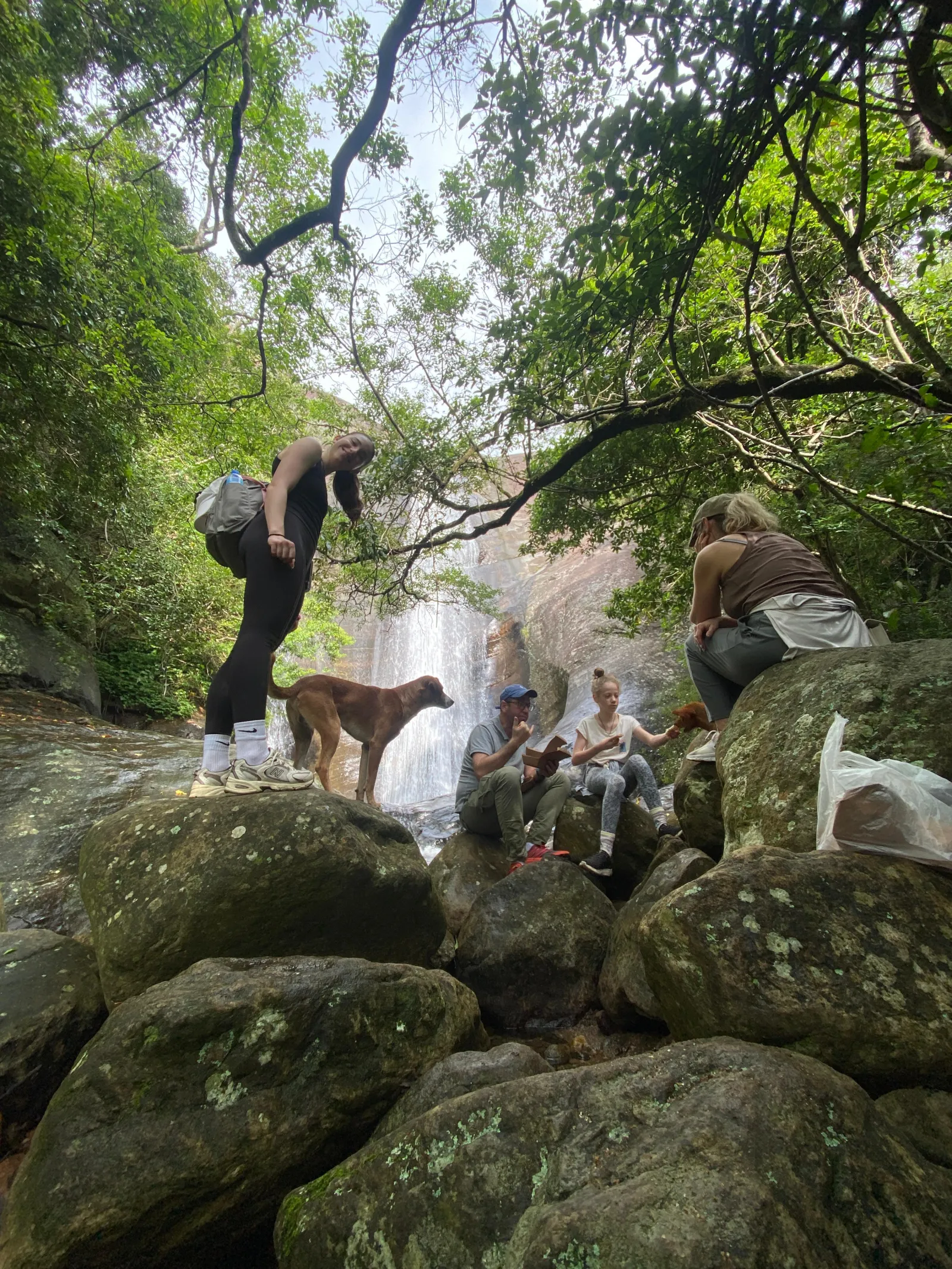 Guided Waterfalls Tour of Bambarakanda Falls ,lanka ella falls and Yahalthennna Falls 1
