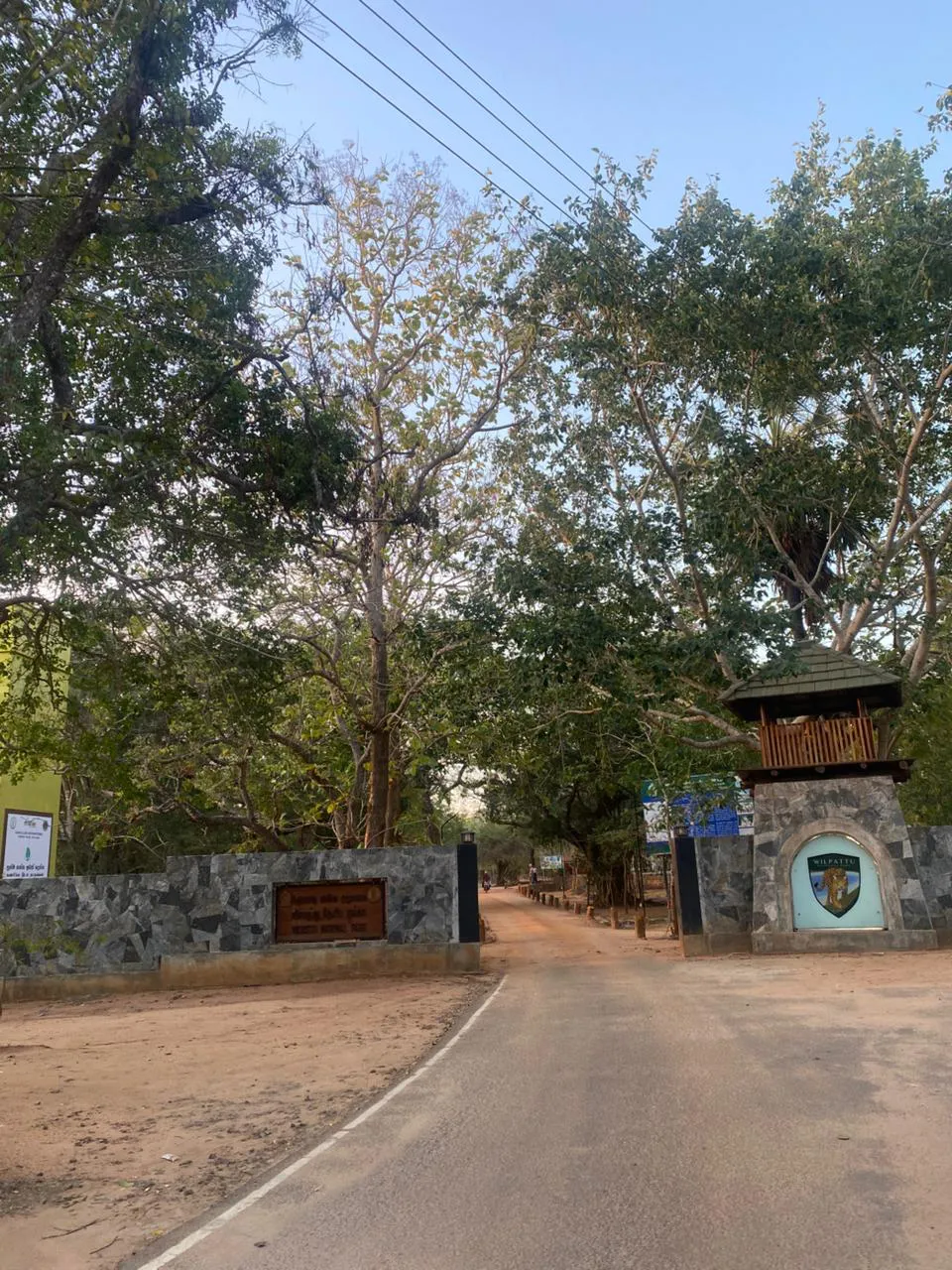 Guided Wilpattu National park Full Day / Half Day Safari  2