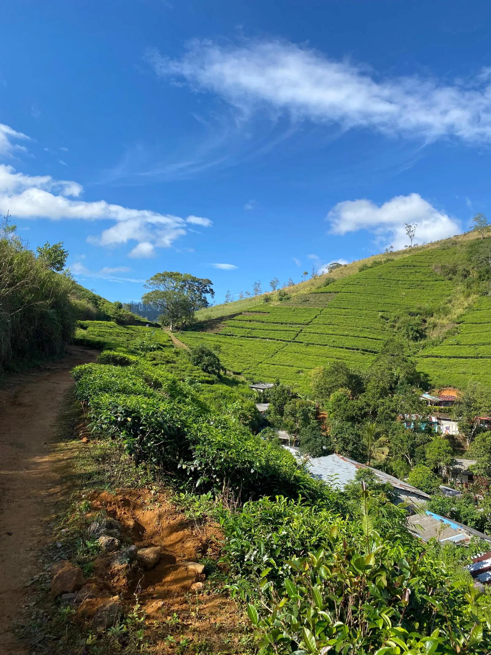 The Pekoe Trail Guided Tours. 1