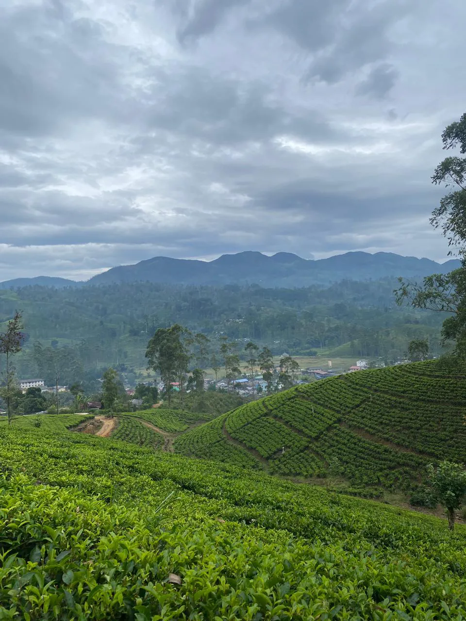The Pekoe Trail Guided Tours. 2