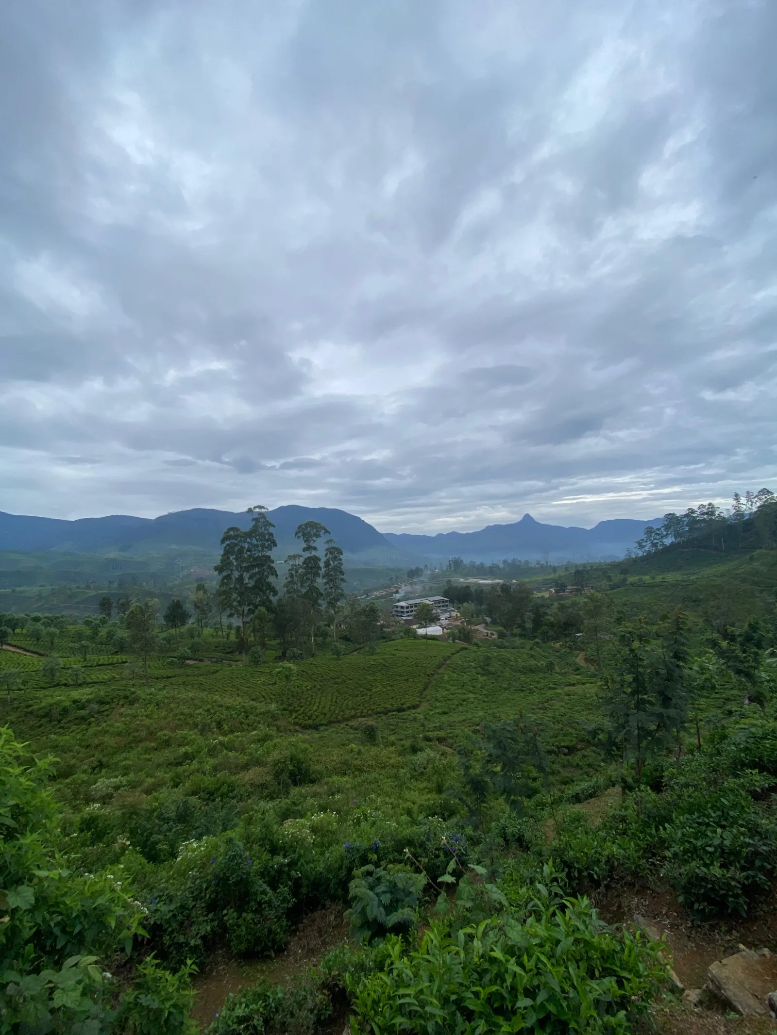 The Pekoe Trail Guided Tours. 3