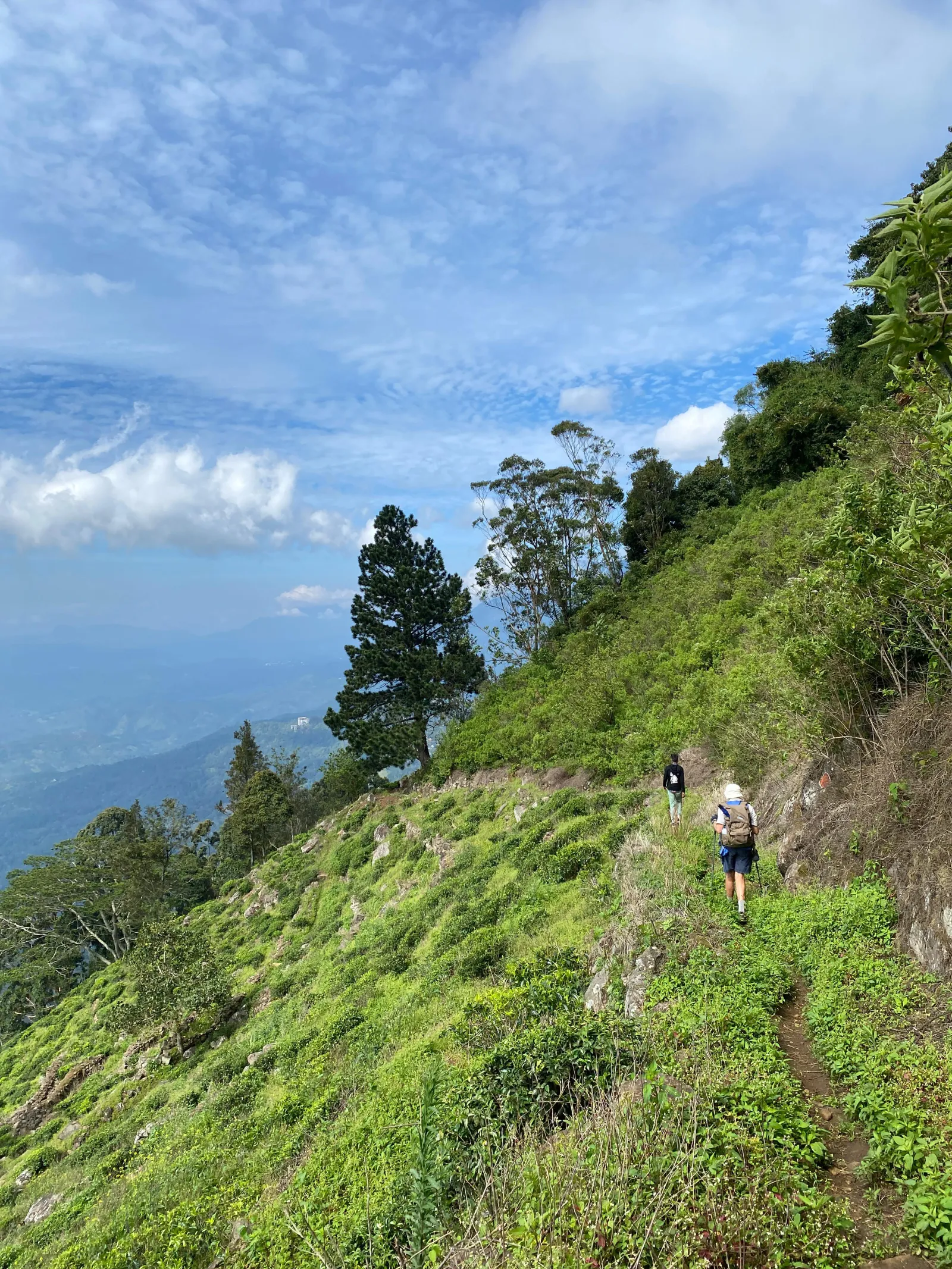The Pekoe Trail Guided Tours. 4