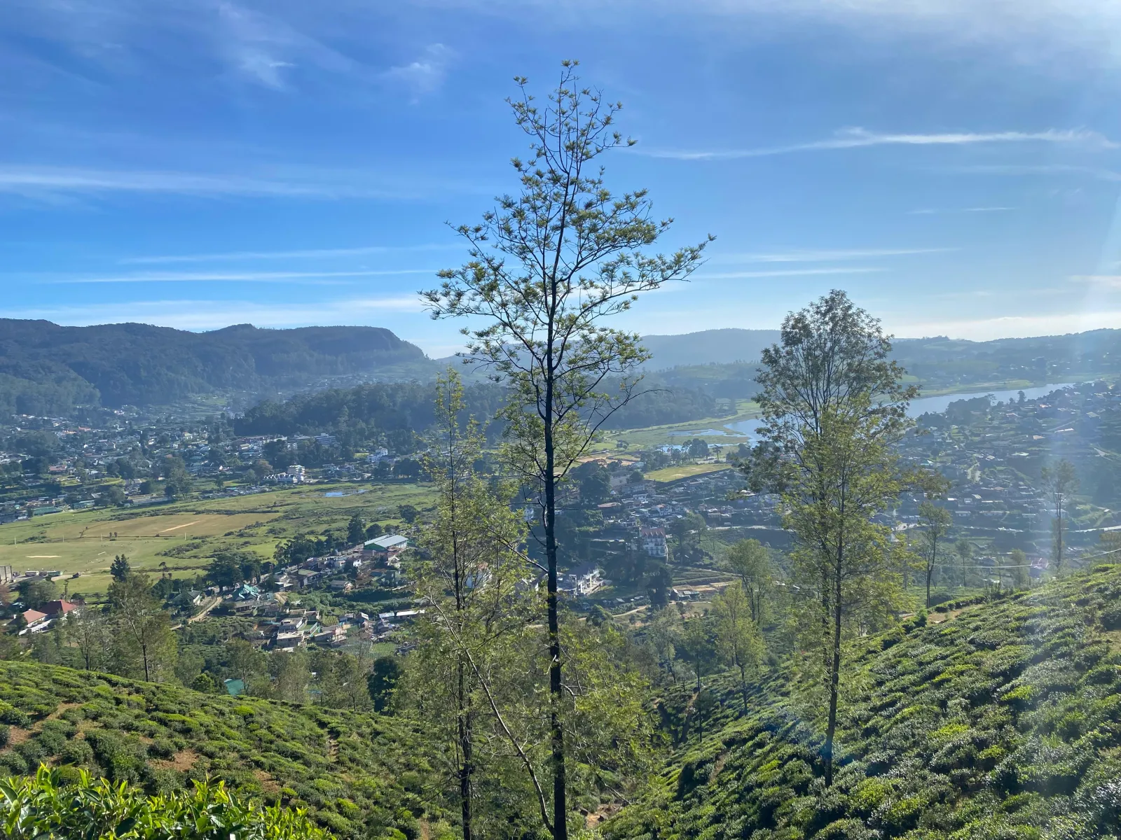 Single Tree Hill Hiking  1