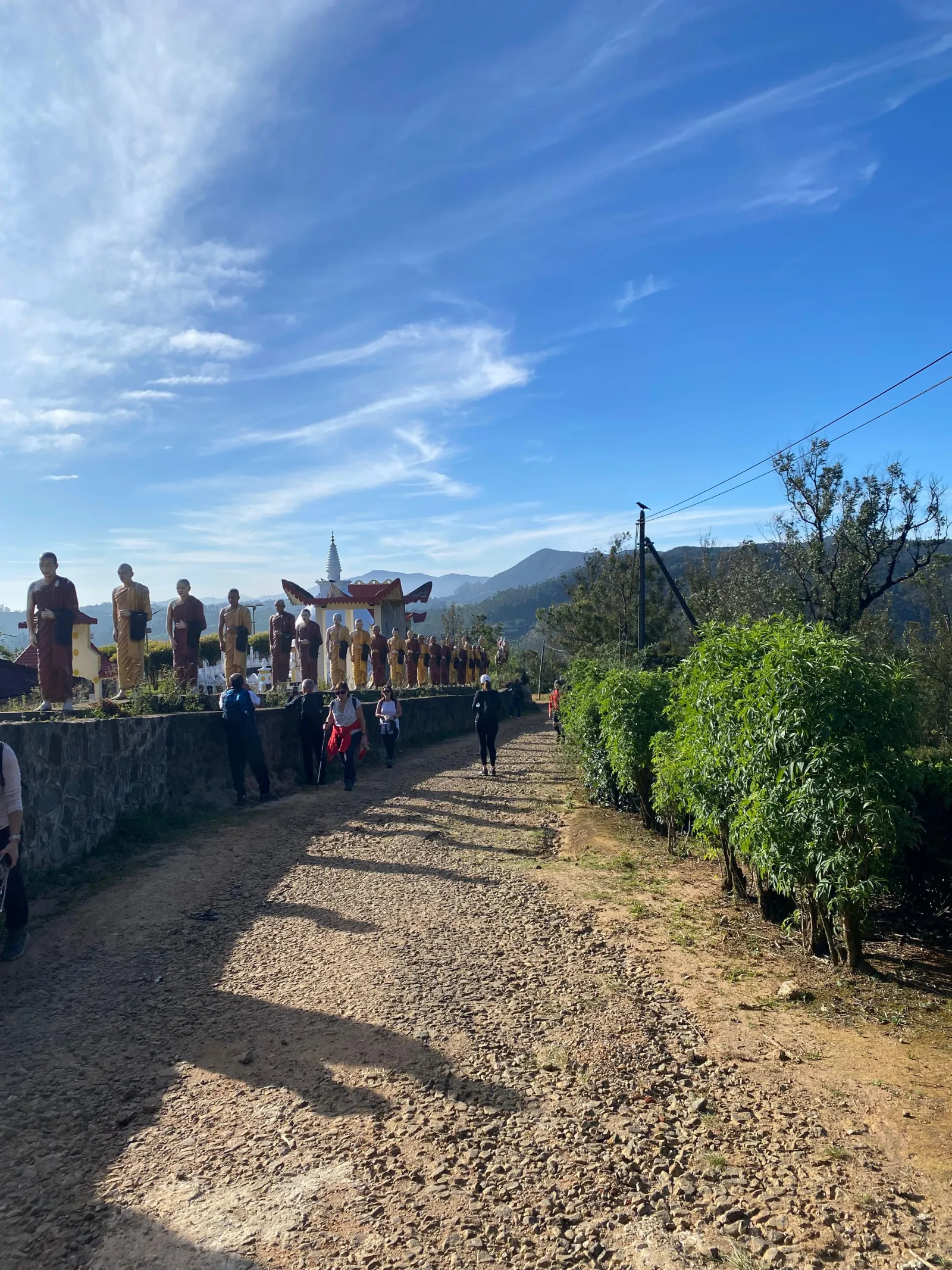 Single Tree Hill Hiking  2