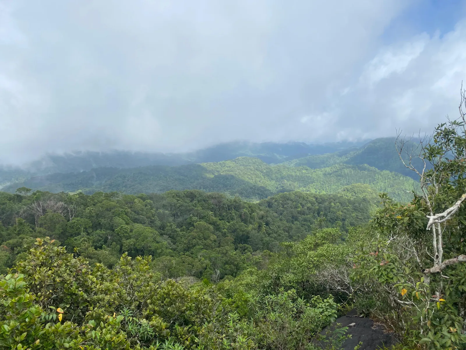 Mulawella Mountain Nature Trail 3