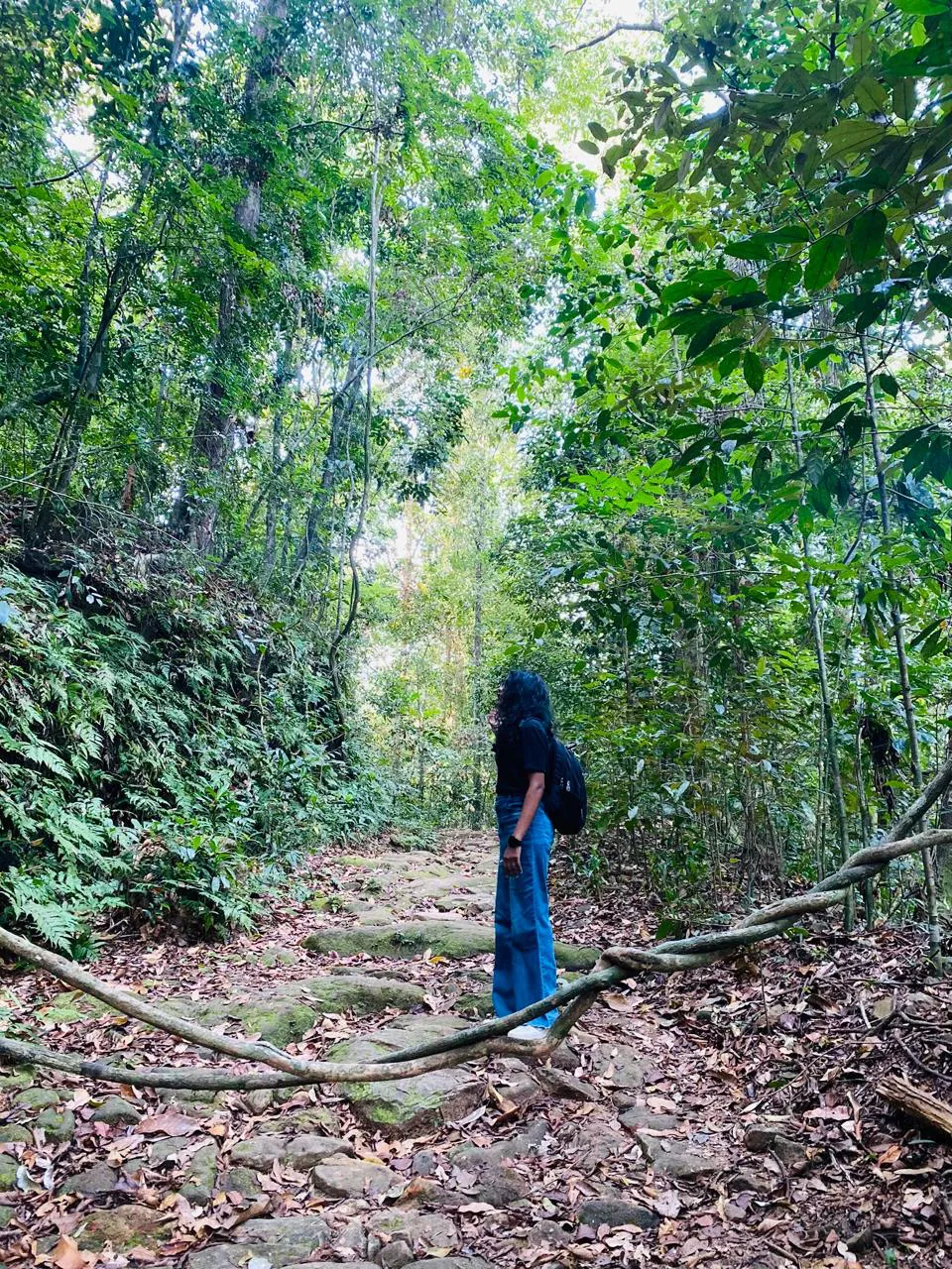 Makandawa Rain Forest Hiking 1
