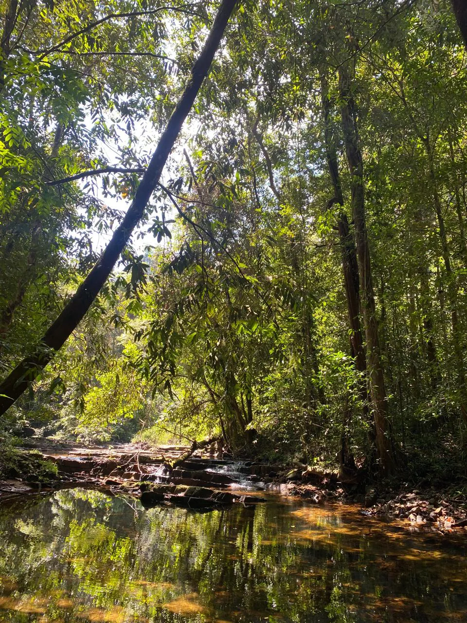 Makandawa Rain Forest Hiking 2