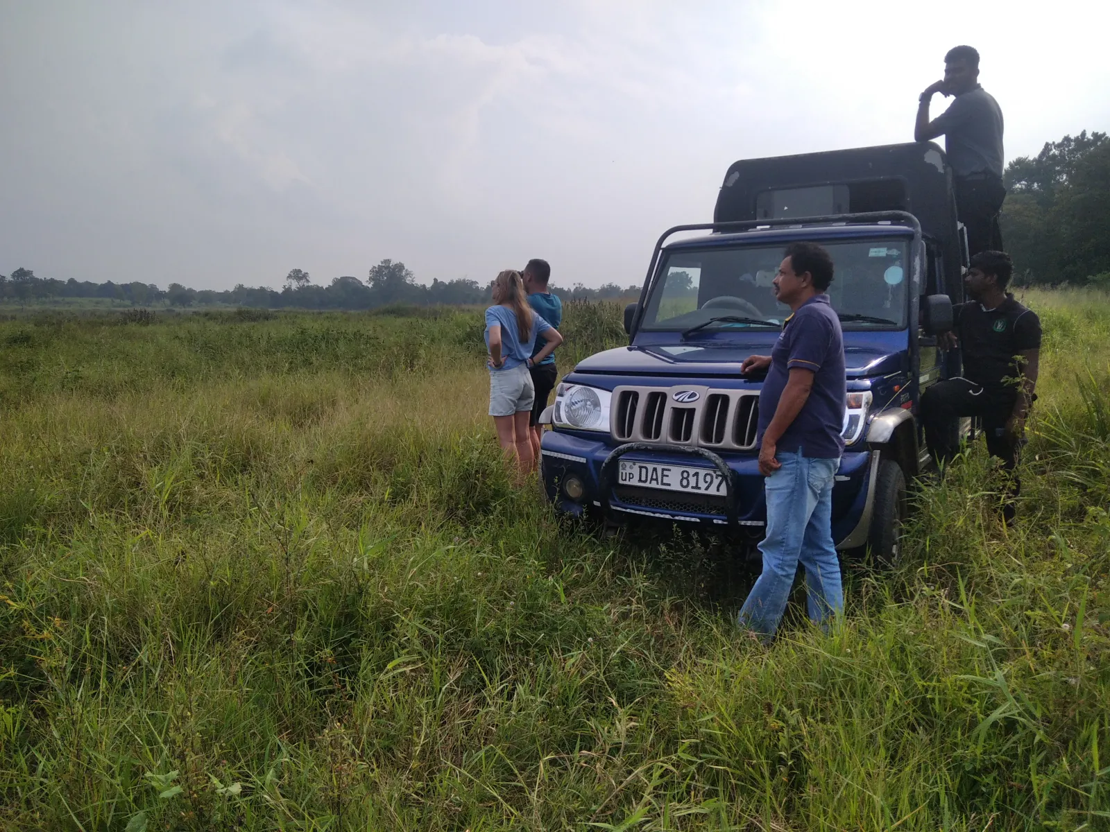 Guided Maduruoya National park Half Day Safari  1