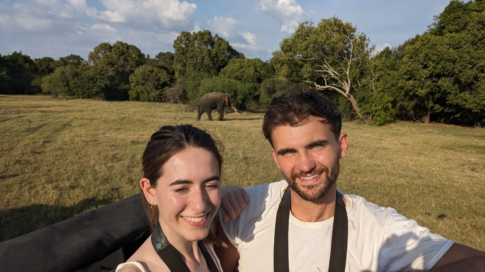 Guided Minneriya  National park Half Day Safari  2