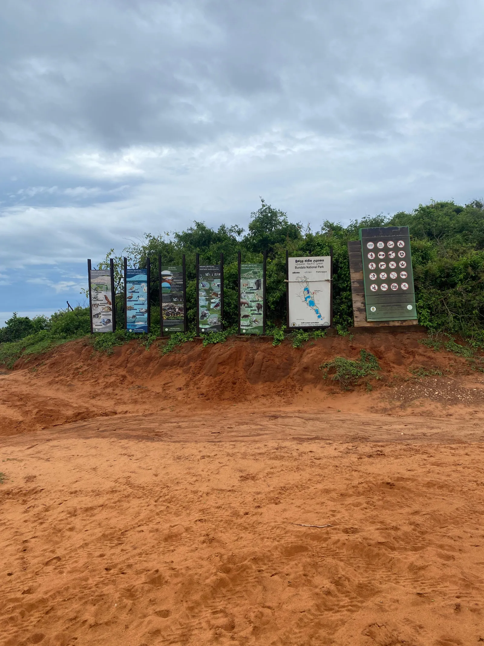 Guided Bundala National Park Half day Safari 1