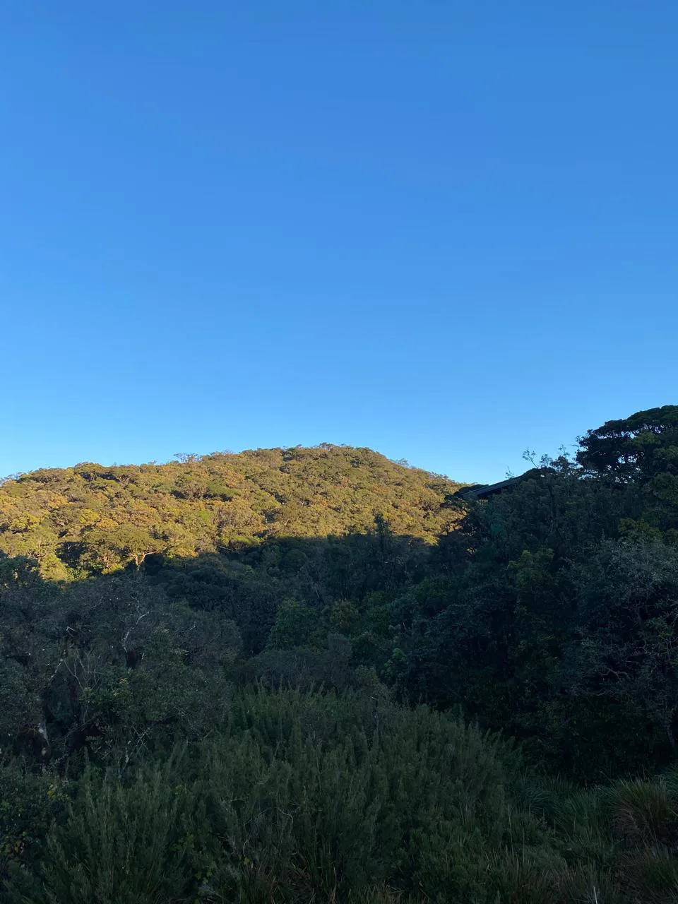 Thotupola Mountain Trekking in Horton Plains  2