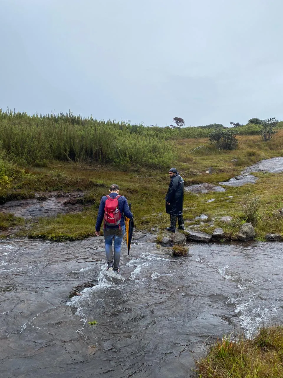 Kirigalpoththa Mountain Trekking in Horton Plains  1
