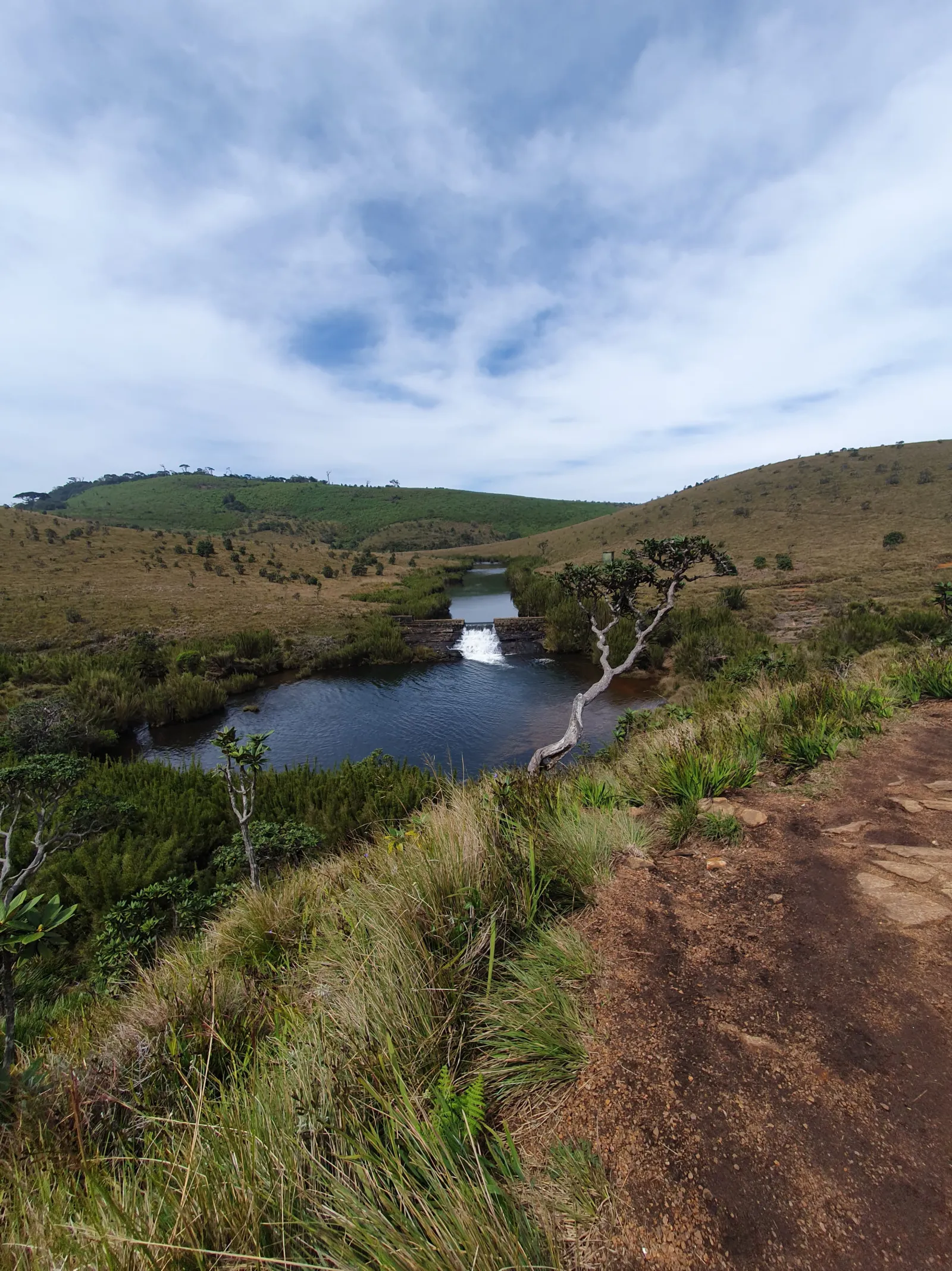 The loop Trail of the Horton Plains National park 3